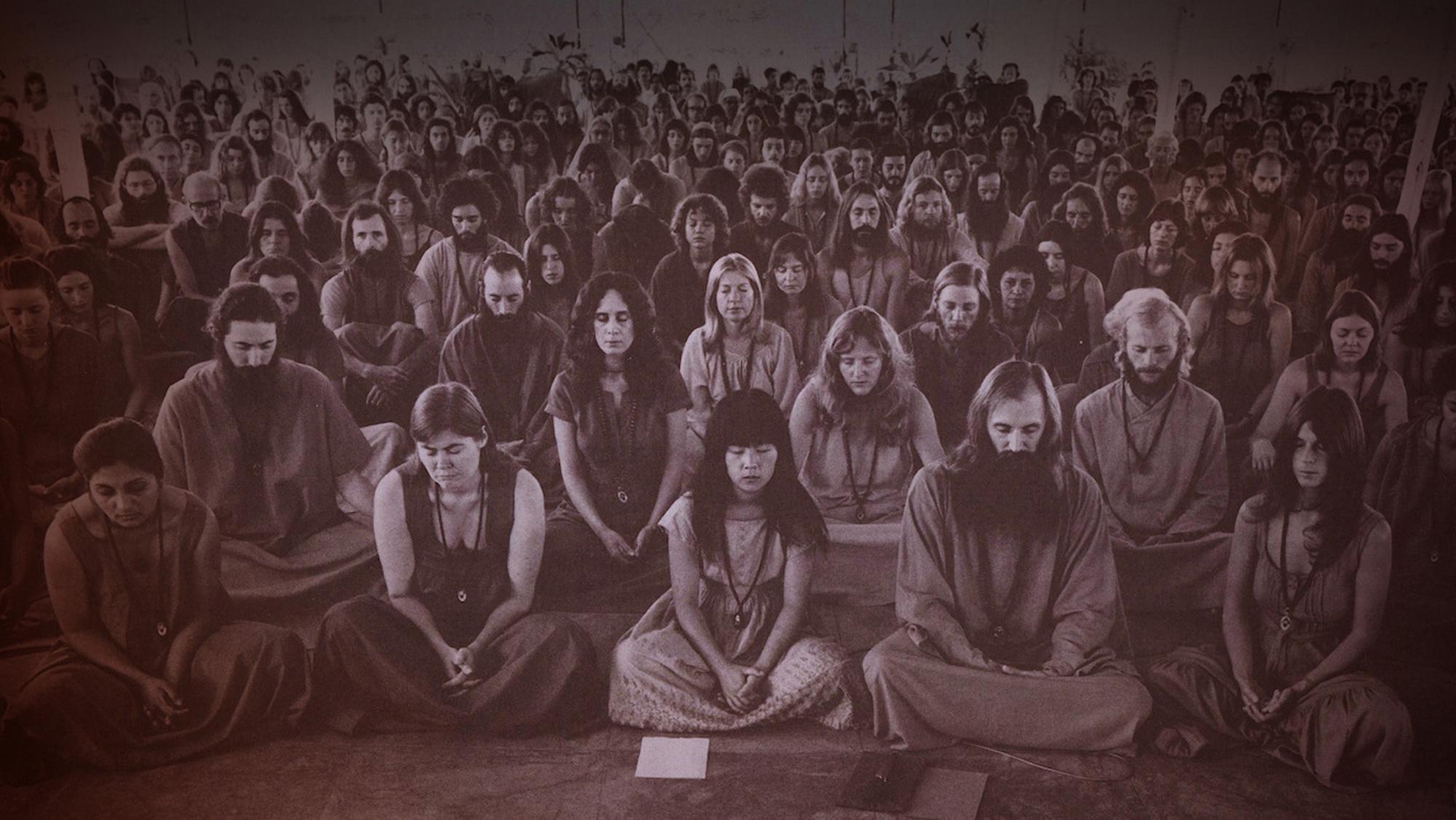 Wild Wild Country