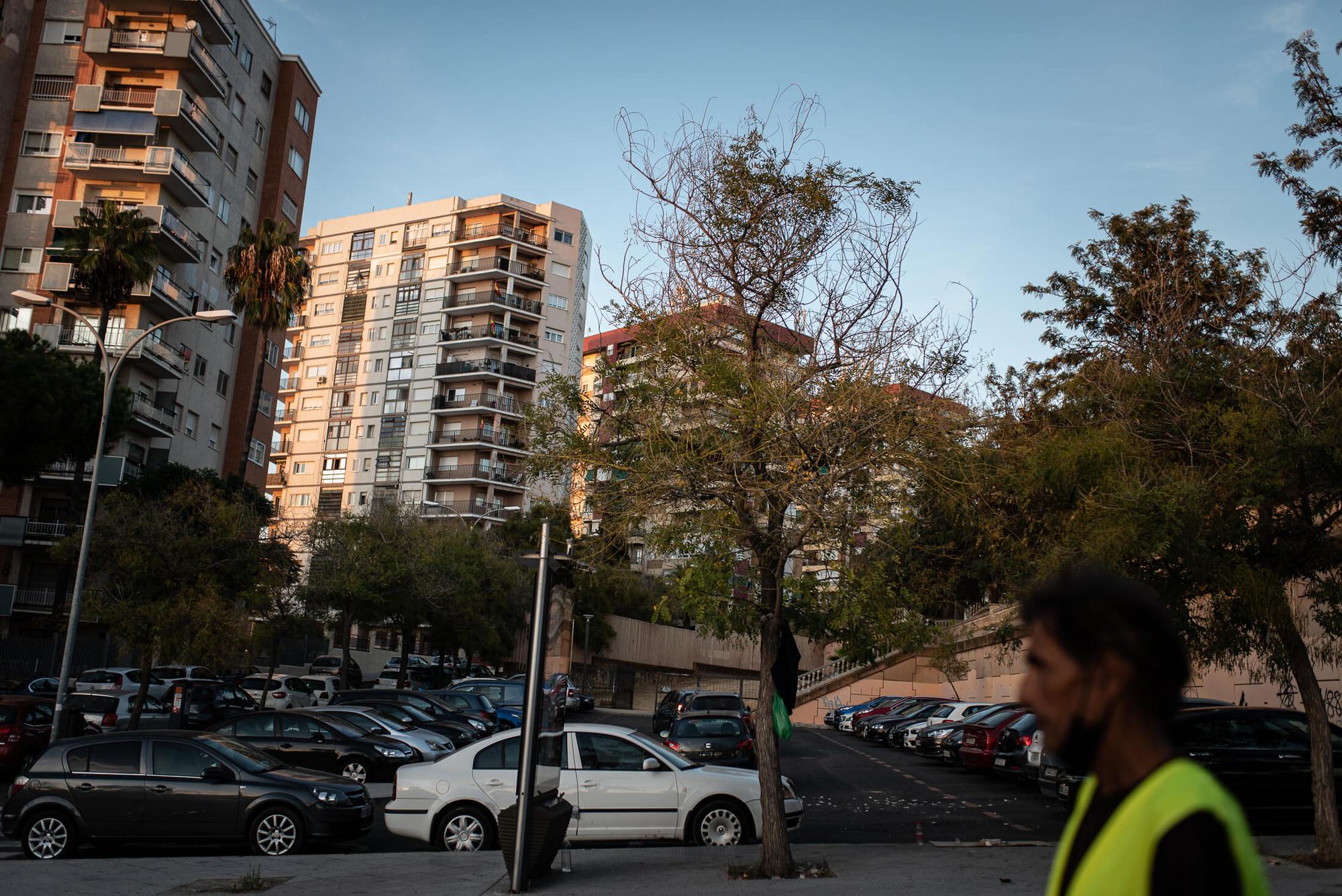Vivir en un parque 03