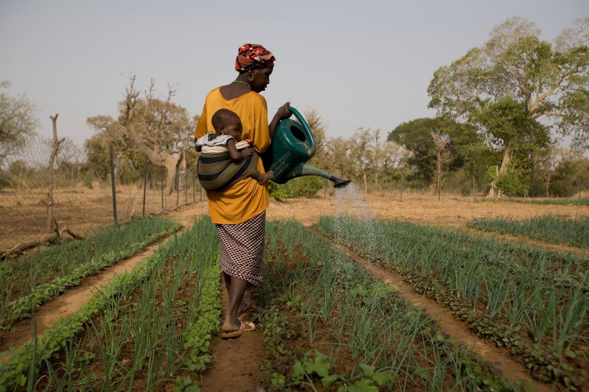 Burkina Faso mujer cambio climático