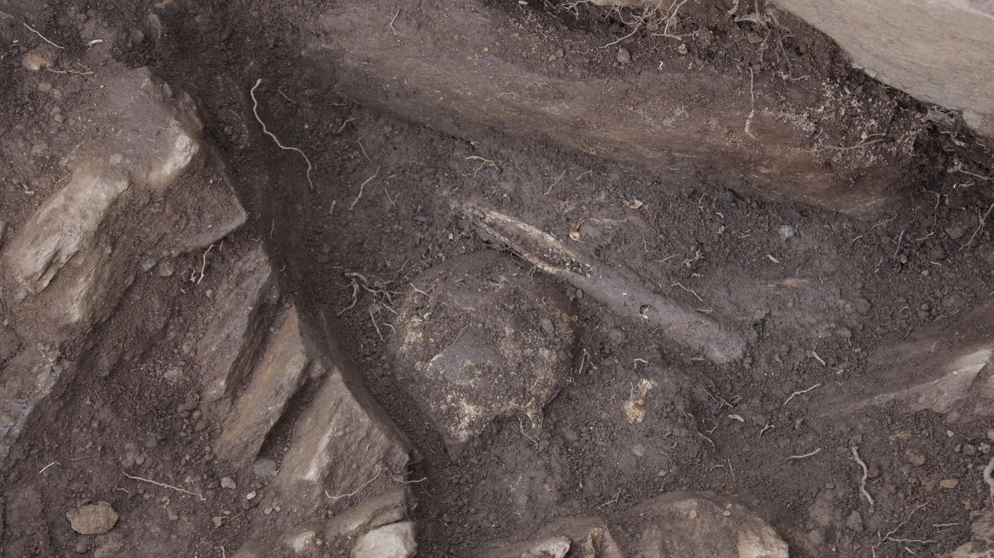 Achado de ósos prehistóricos en Os Conventos