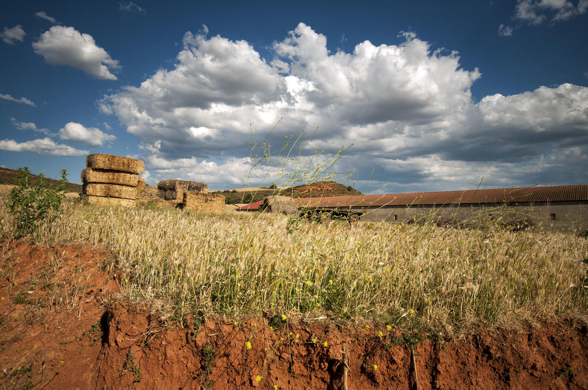 Campo y medio rural