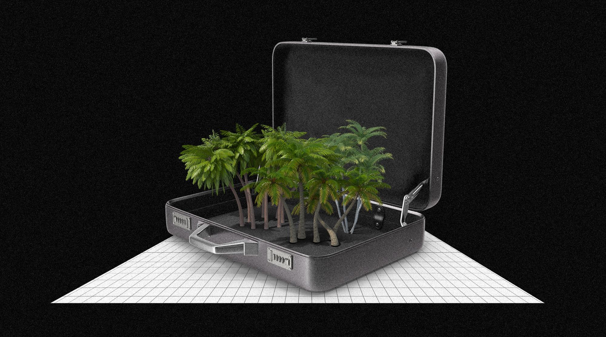 Fiscalidad maletín paraísos fiscales