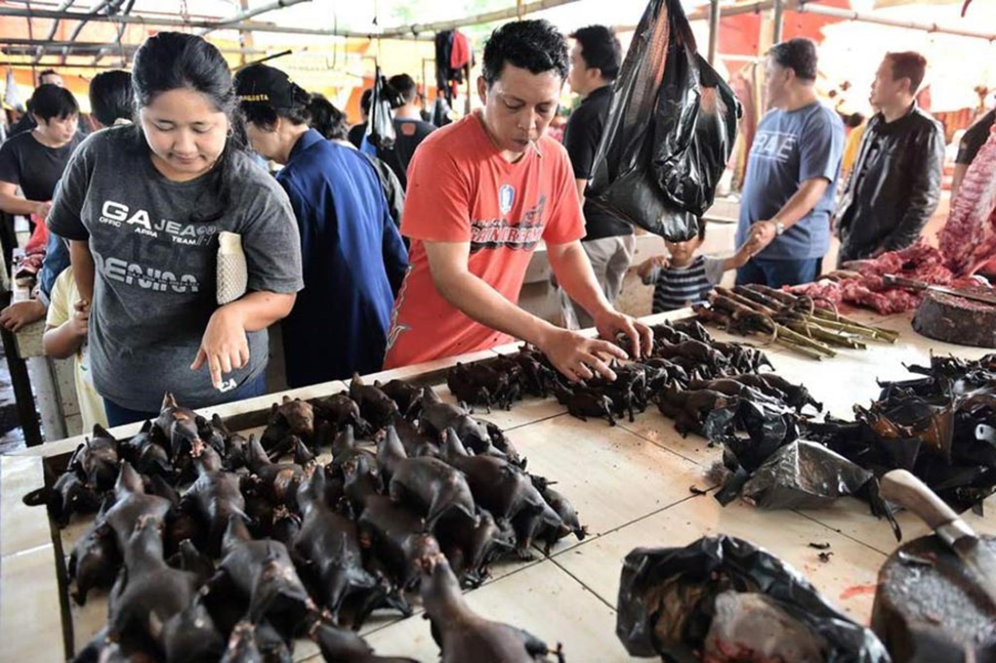 Murciélagos a la venta en mercado asiático
