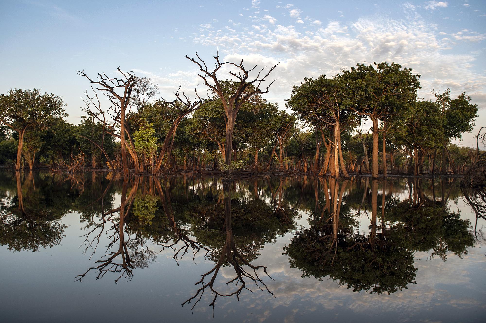 La Amazonía