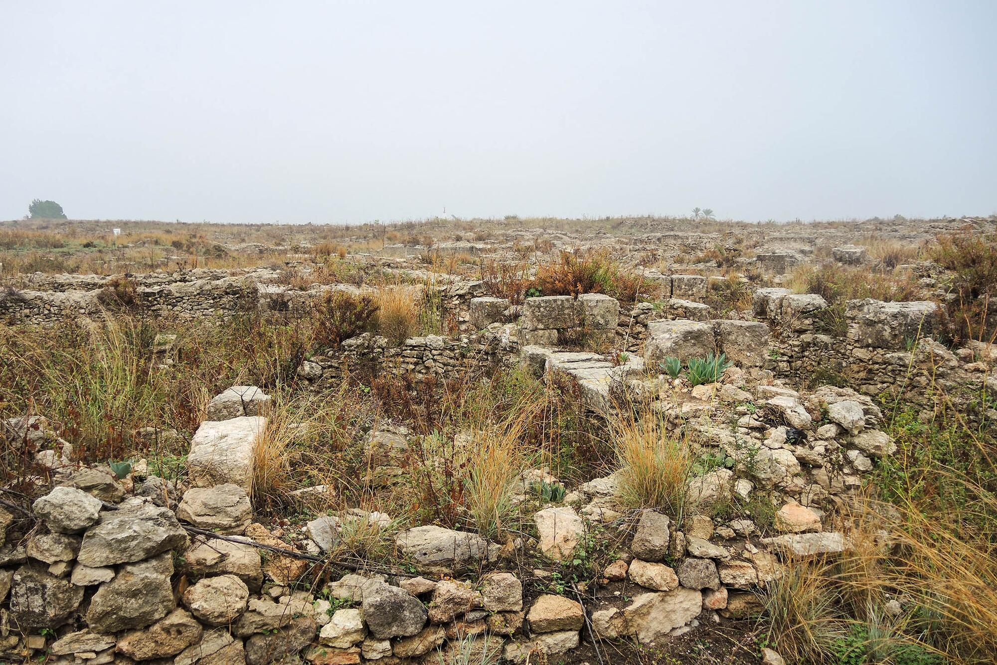 Siria Nuria Vila - 2