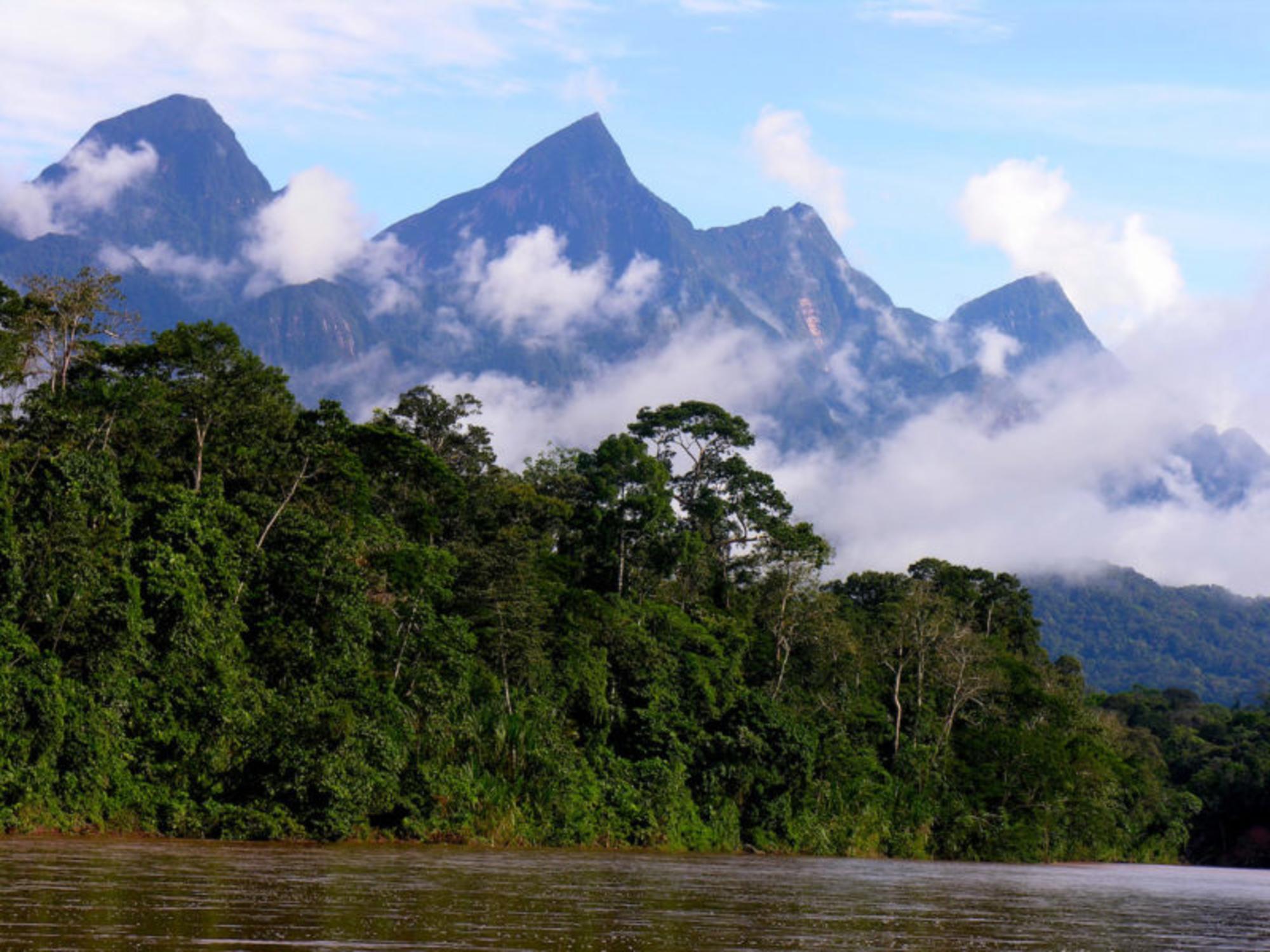 amazonas_peruano