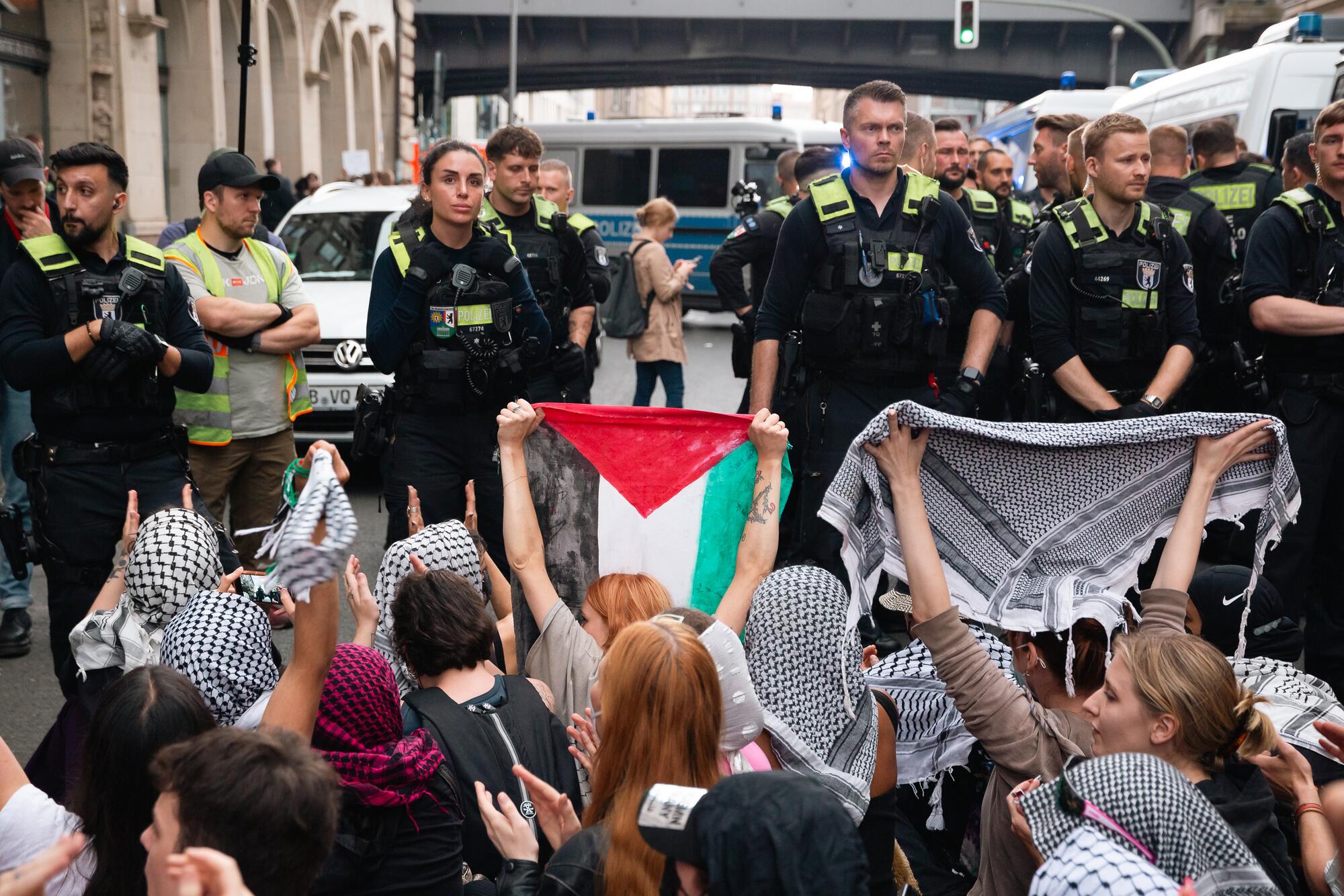 Homboldt Propalestina - 10