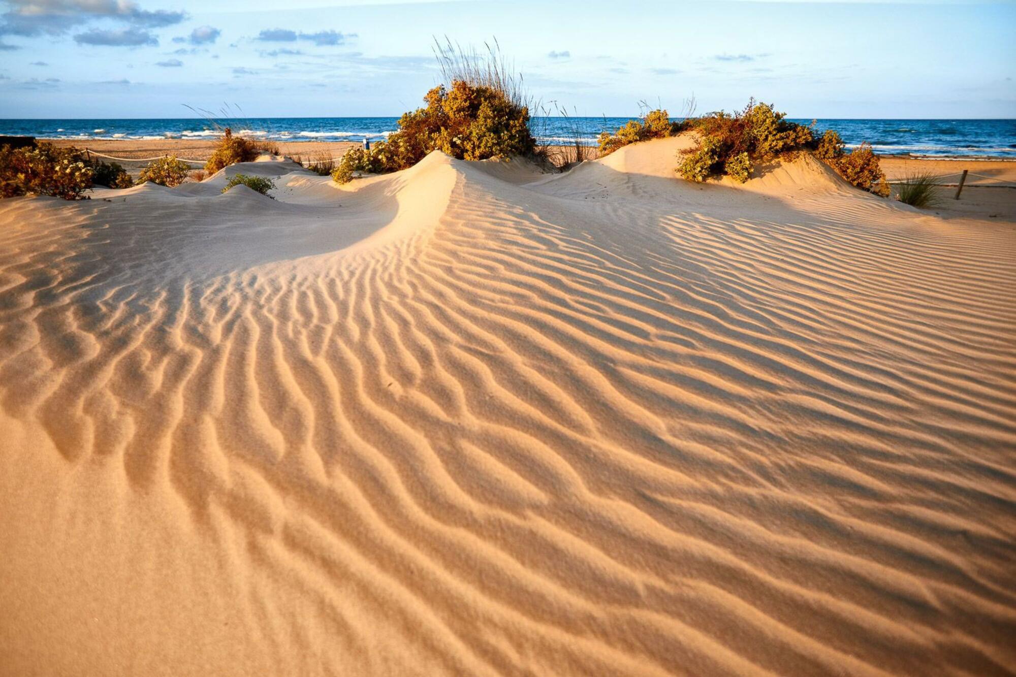 playa auir