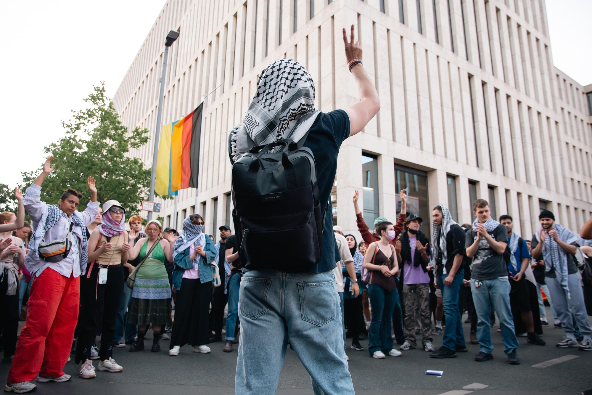 Homboldt Propalestina - 14