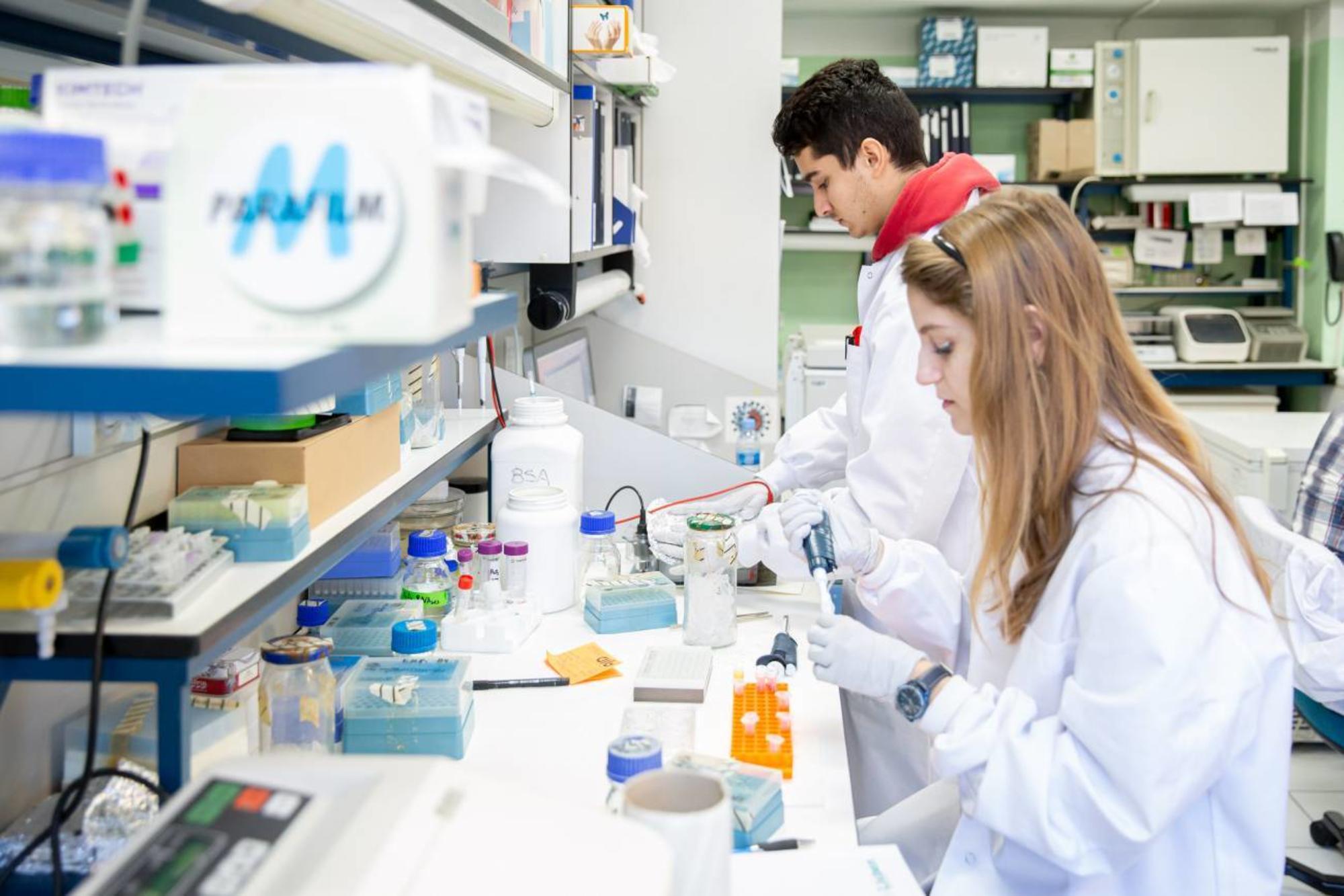 Ciencia e I+D