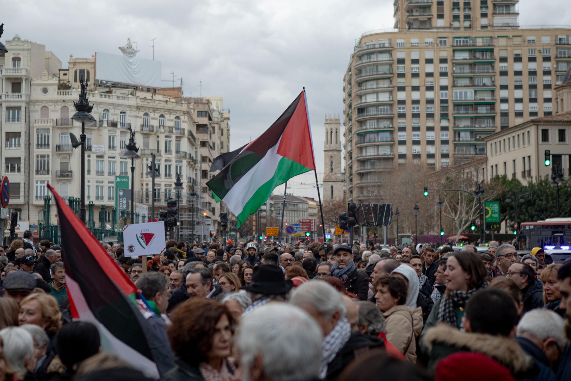 Palestina Manifestacion Valencia - 2