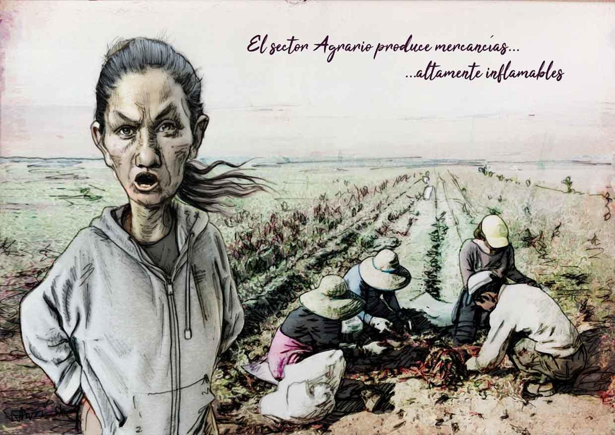 Agricultores. Campo