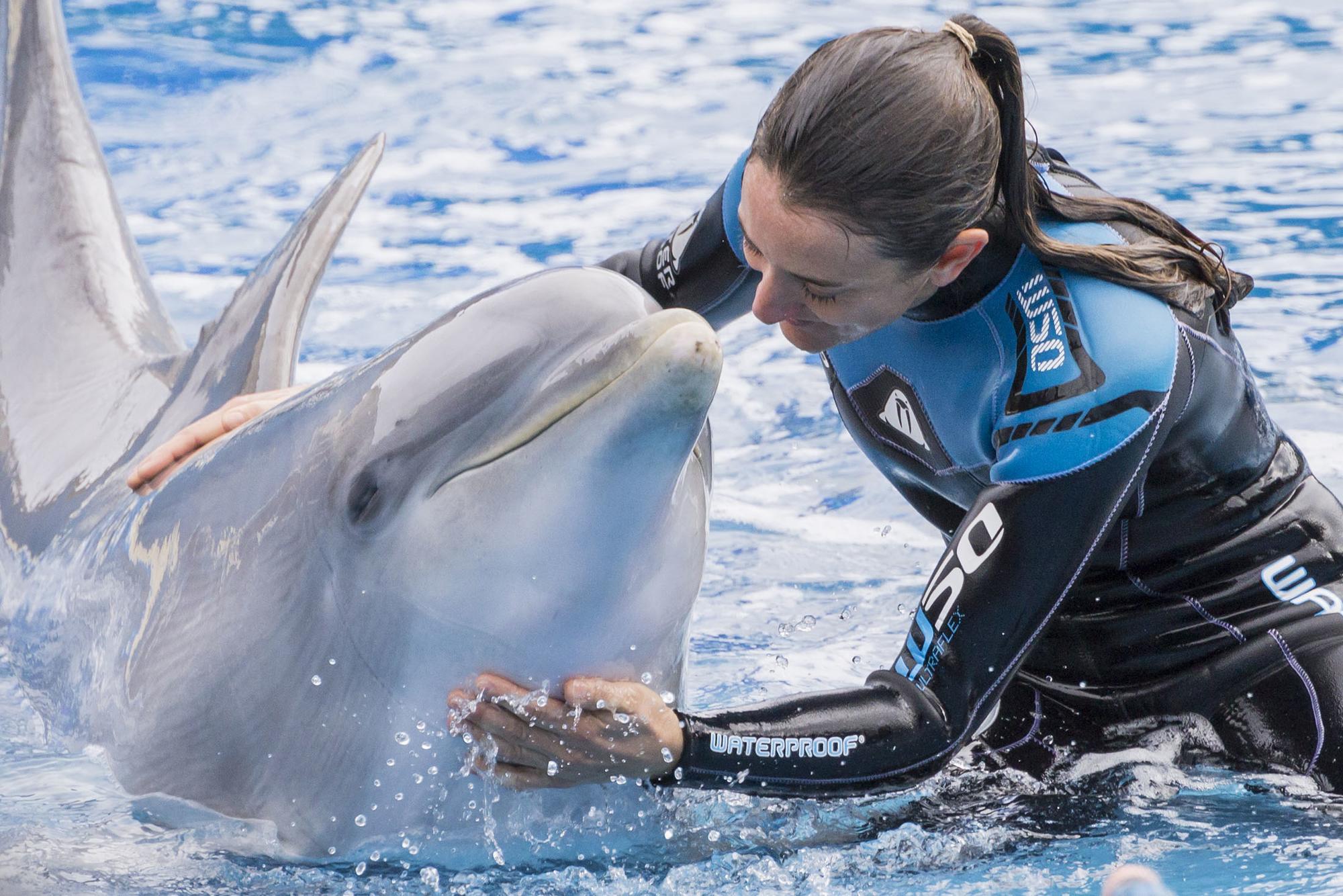 Delfin Zoo Madrid