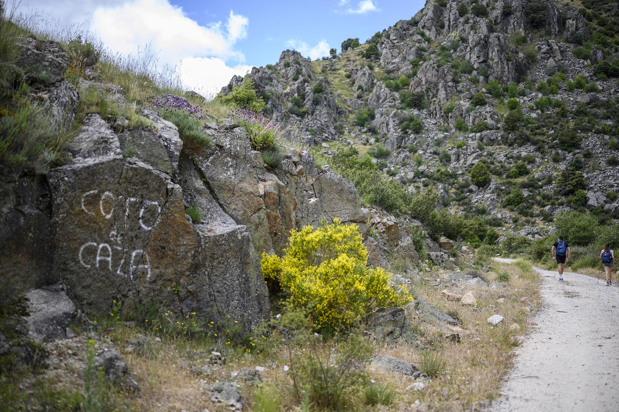 Coto de caza