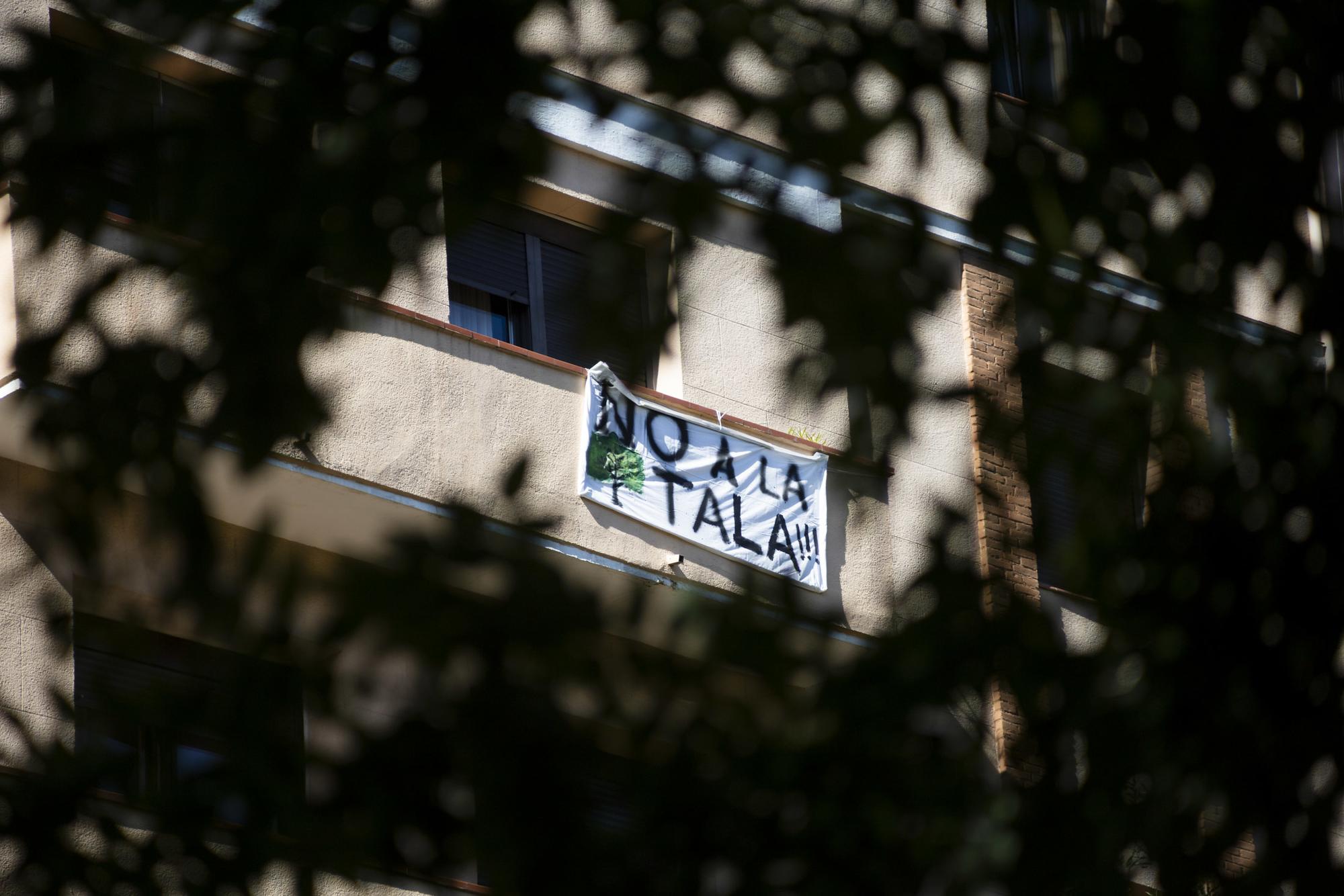 Ancora No a la Tala - 4