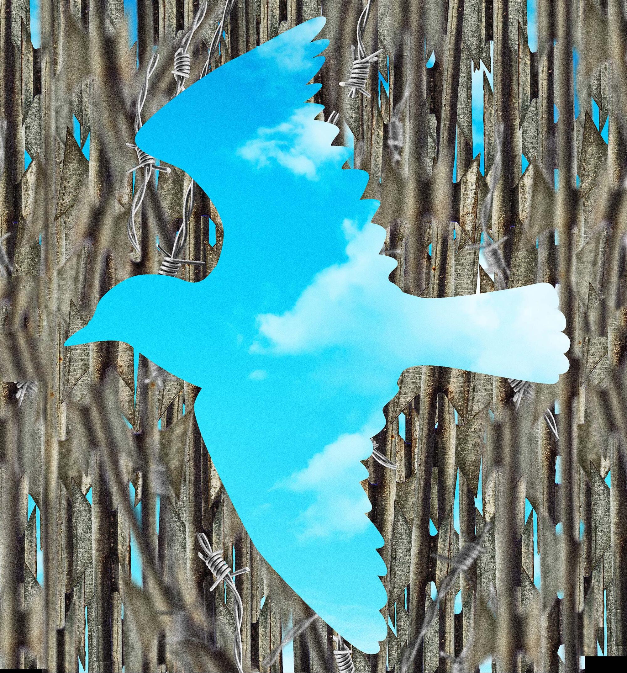 Panorama 81 fronteras migracion 03