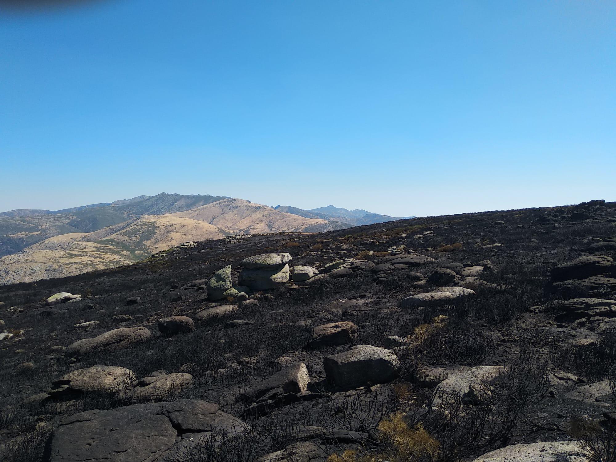 Incendio de la Vera 3