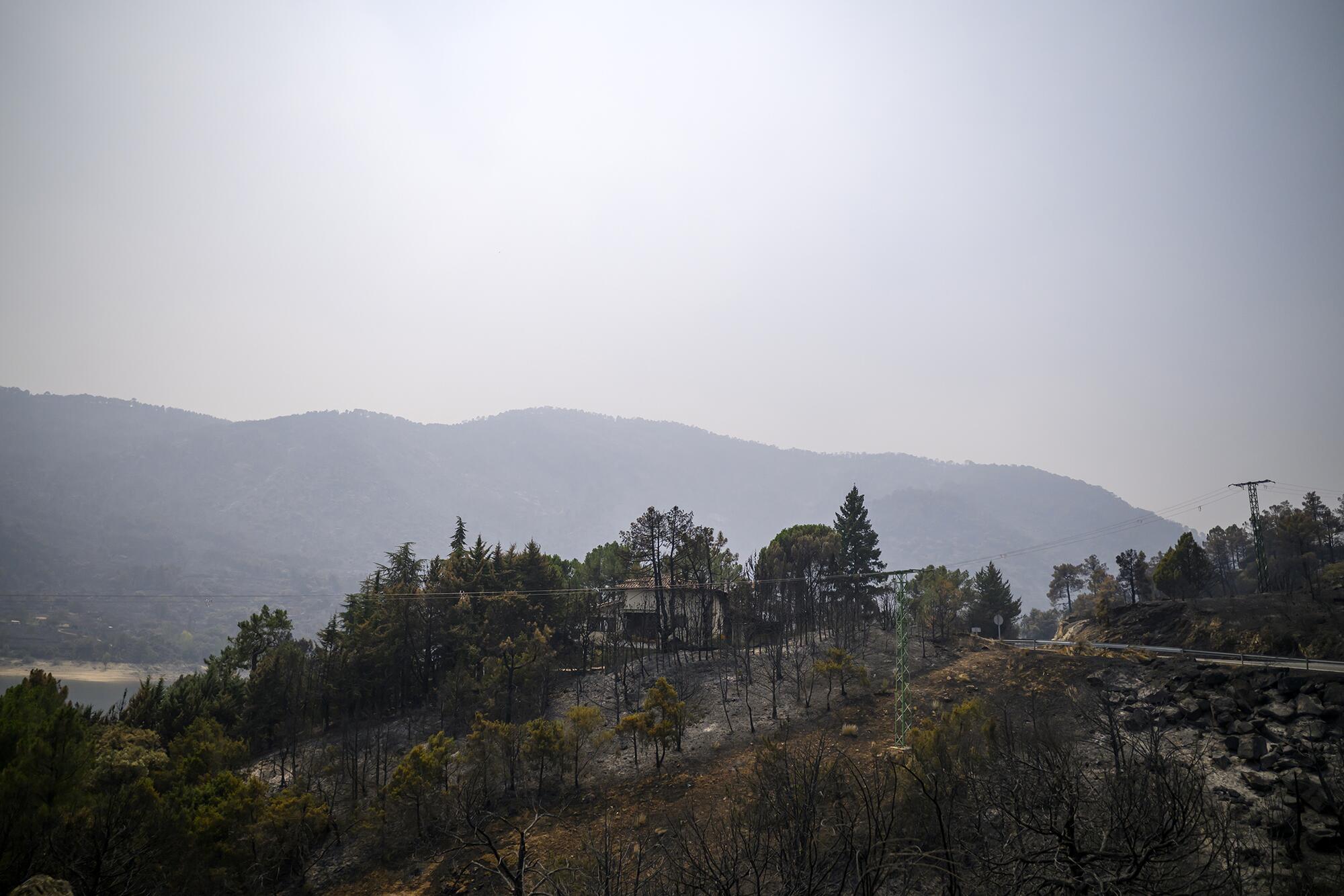 Incendio Navaluenga - 22