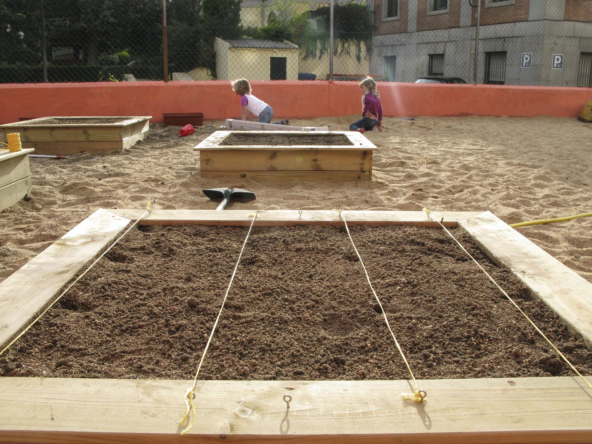 Huerto urbano en escuela pública