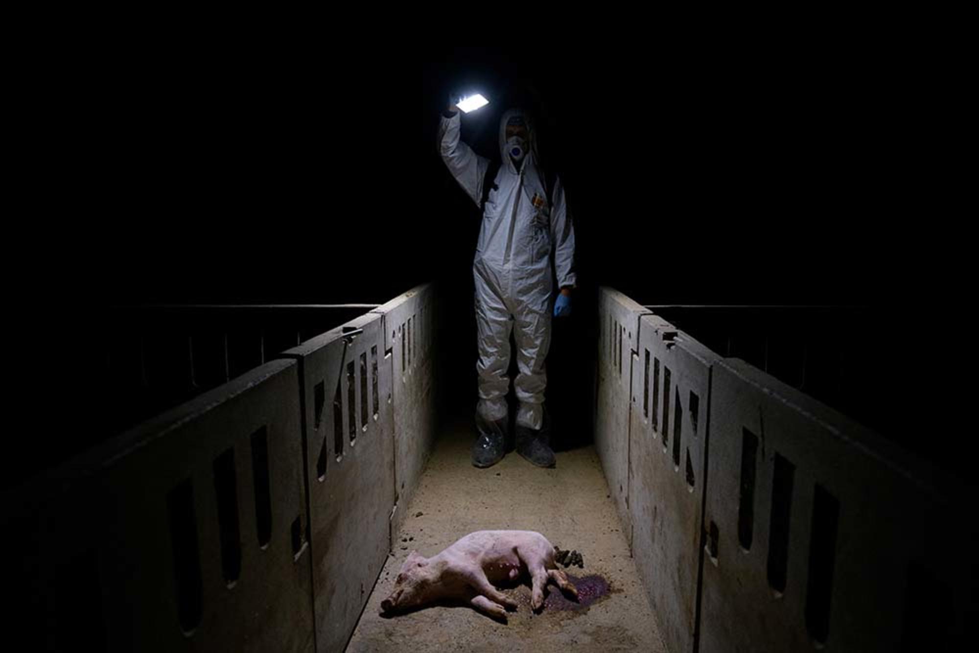 Aitor Garmendia, premio Picture Of The Year International