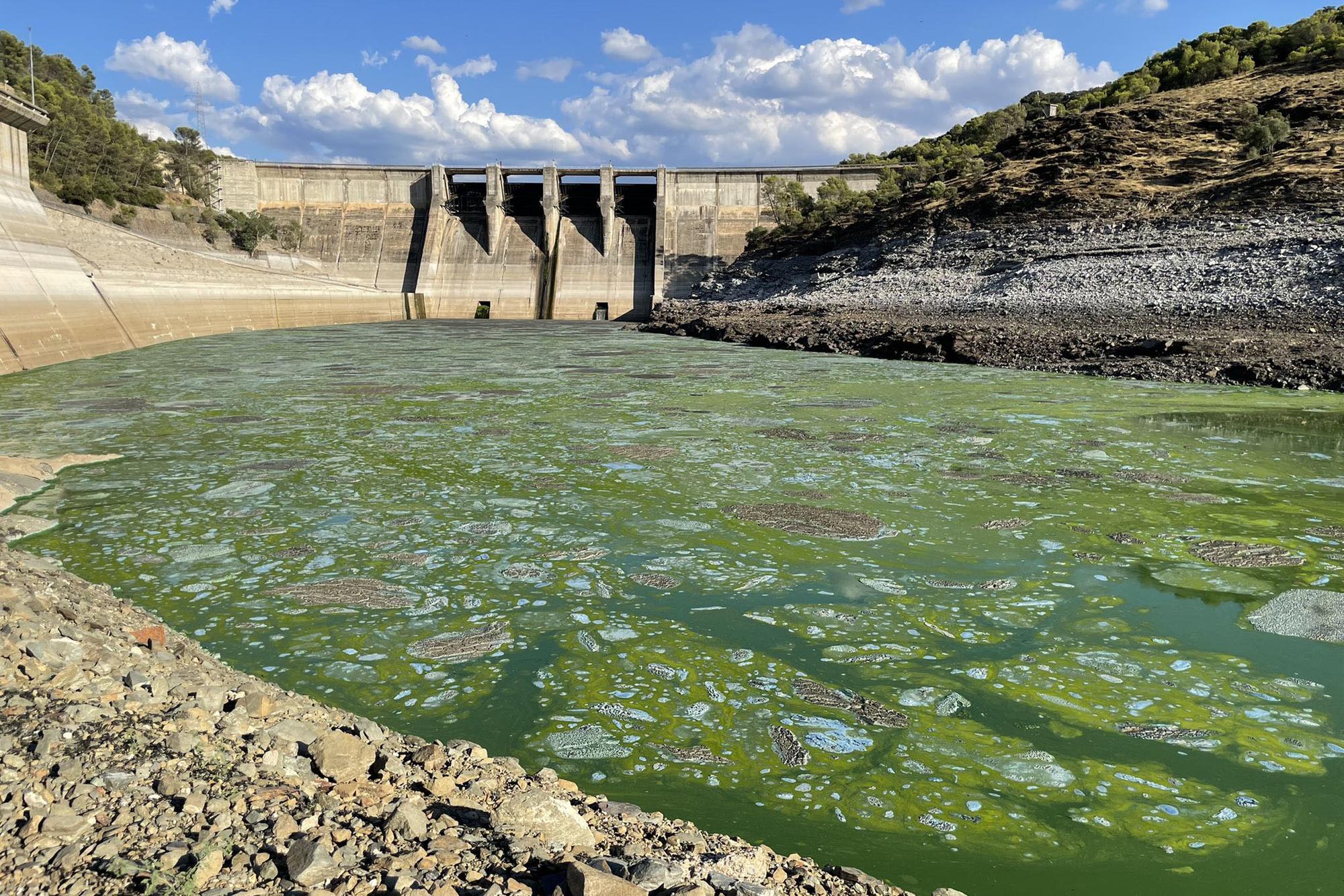 Parque Nacional de Monfragüe Iberdrola