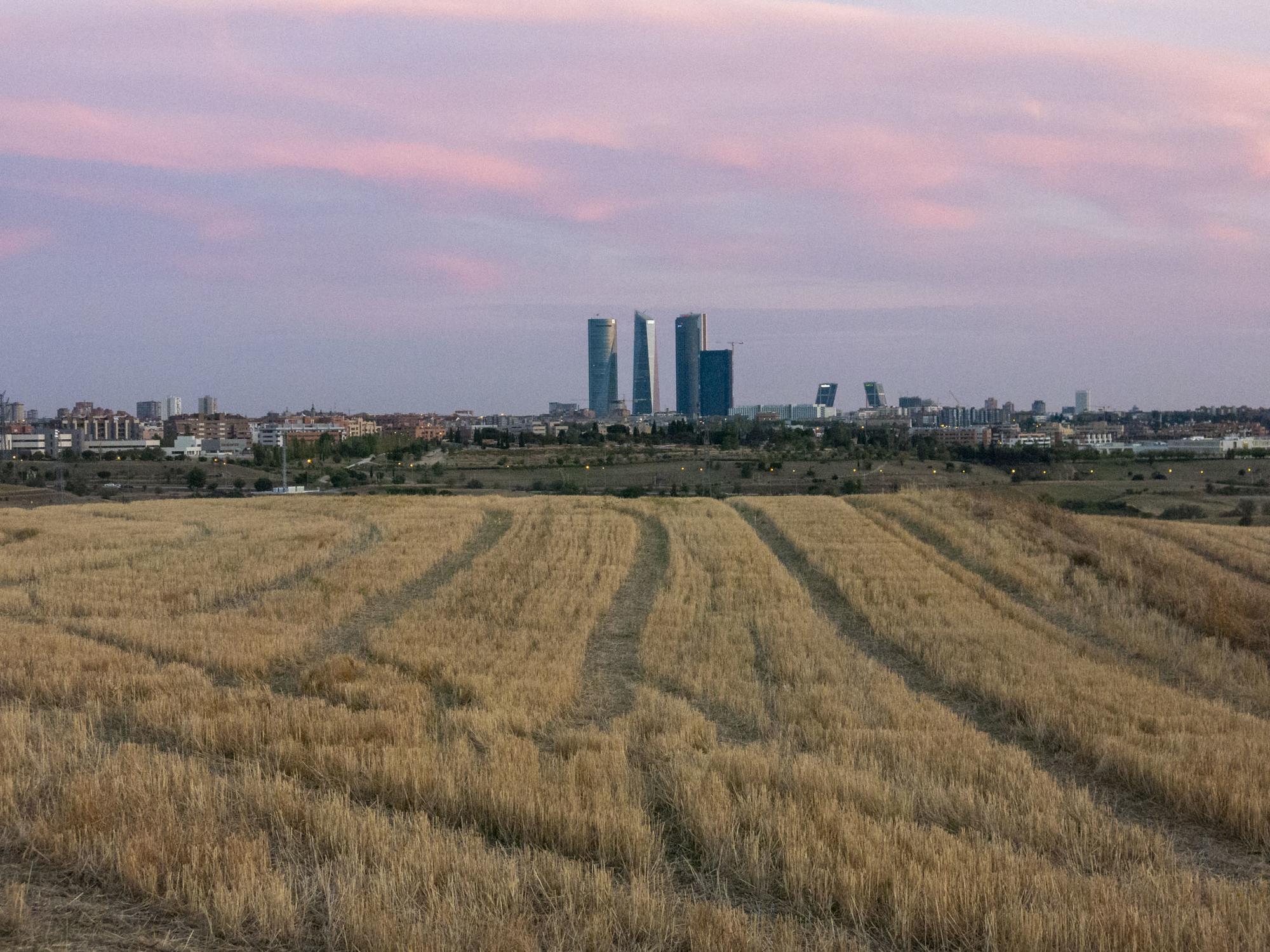 Varios Madrid Pardo - 3