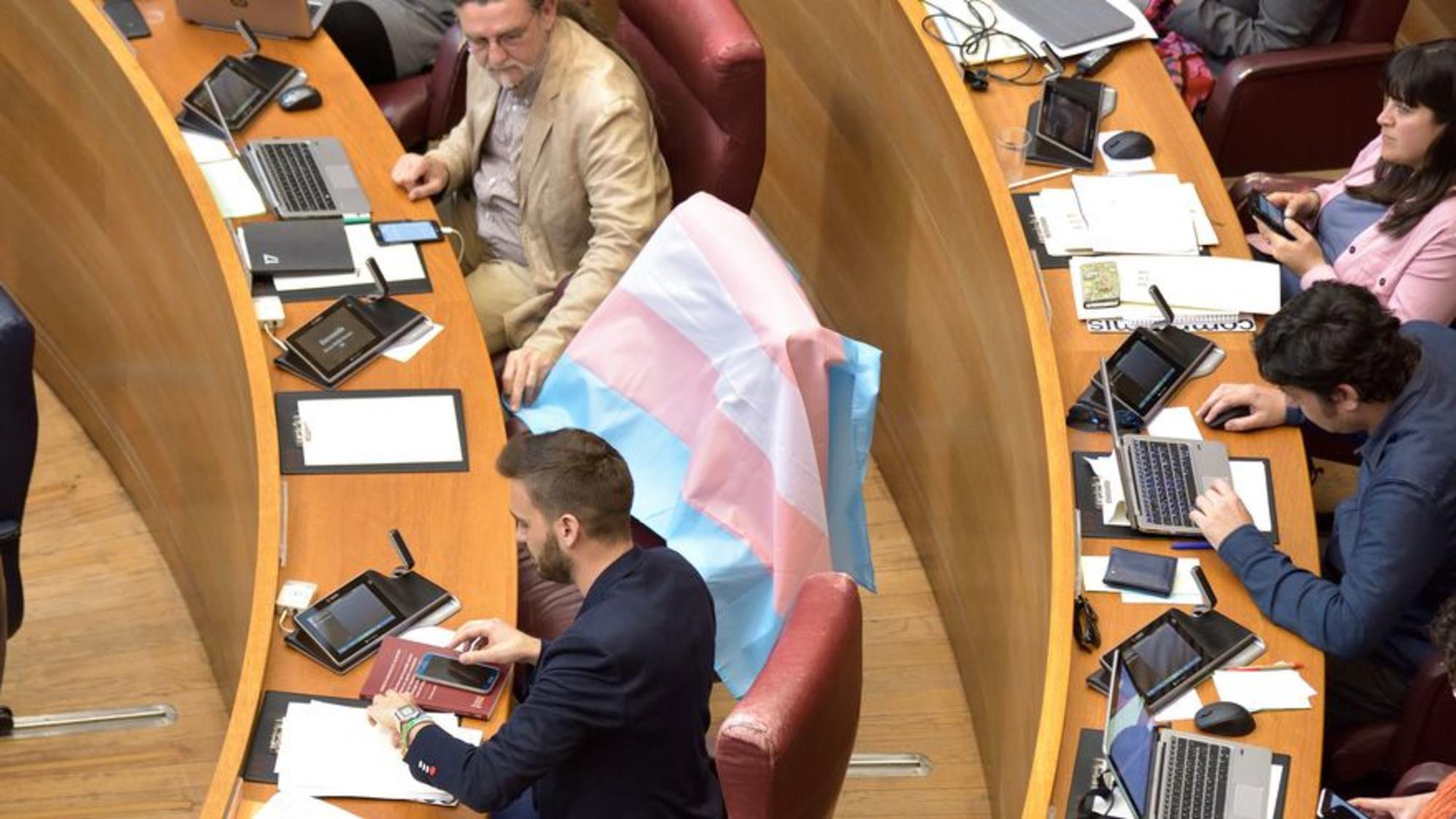 Bandera Trans Parlament 2017