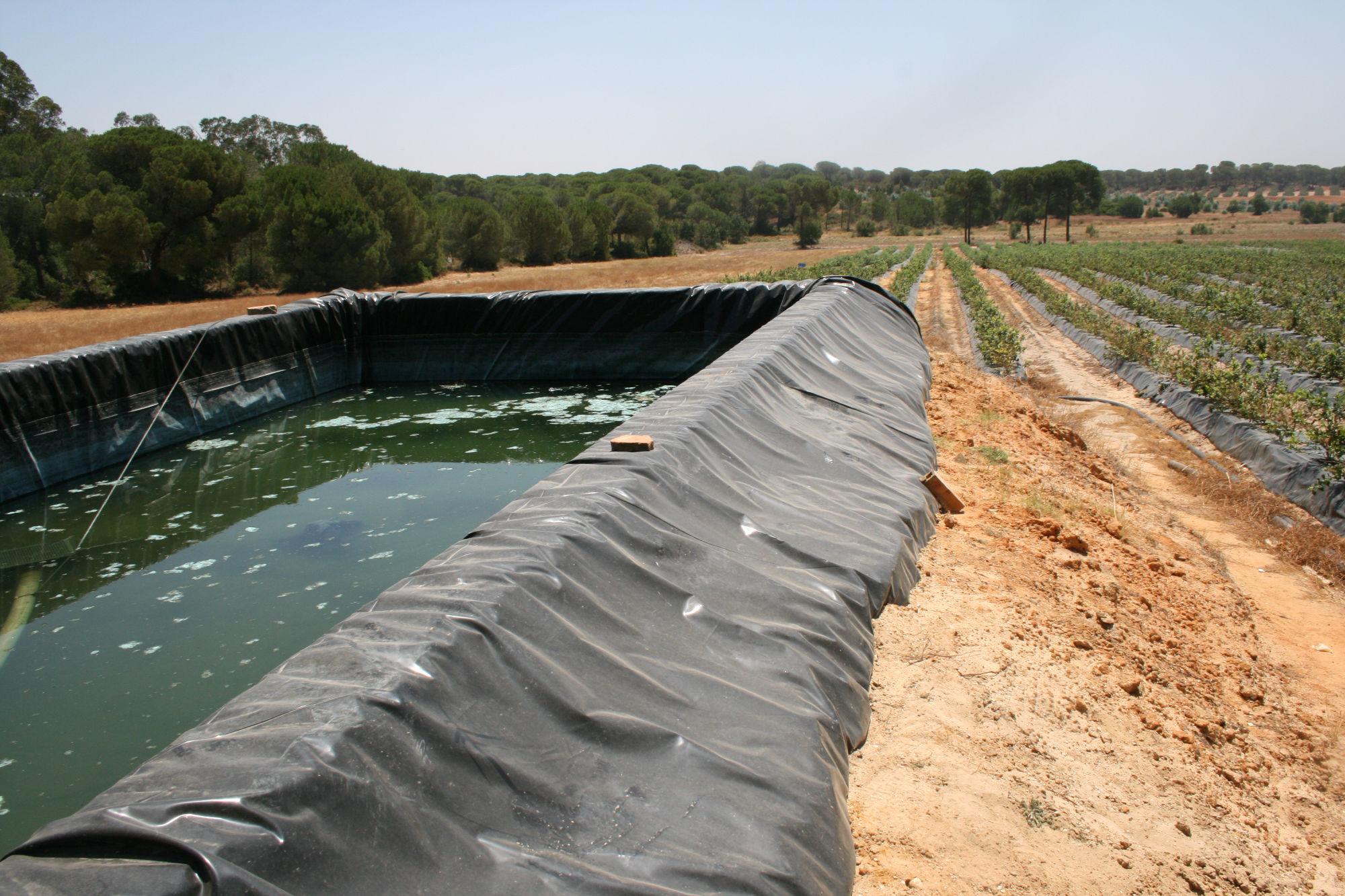 Agua Doñana 04