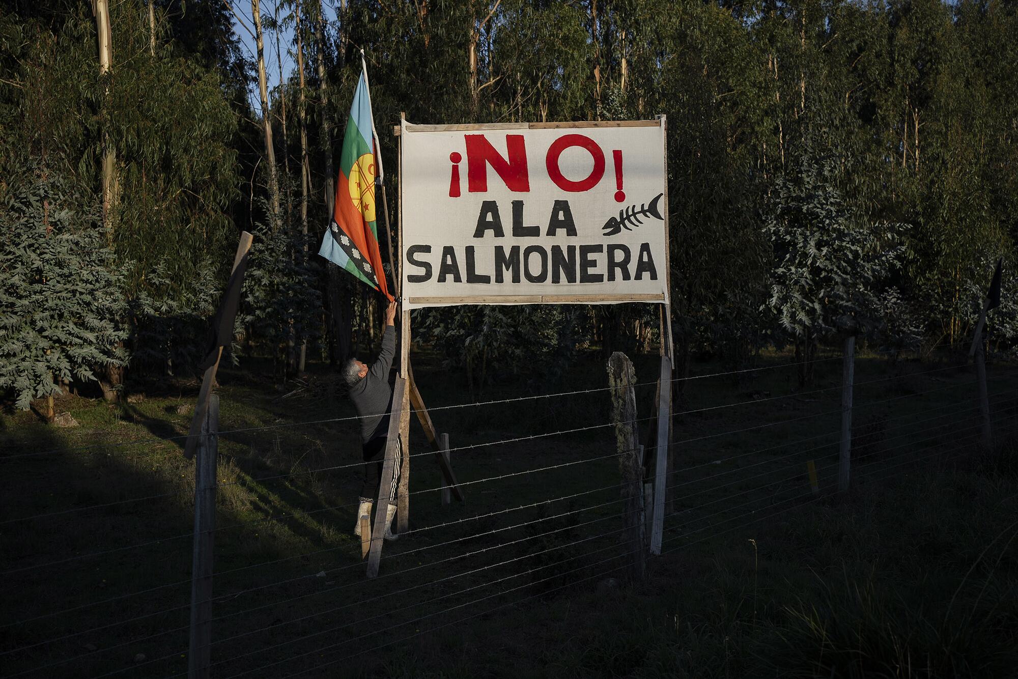 Salmoneras Chile - 2