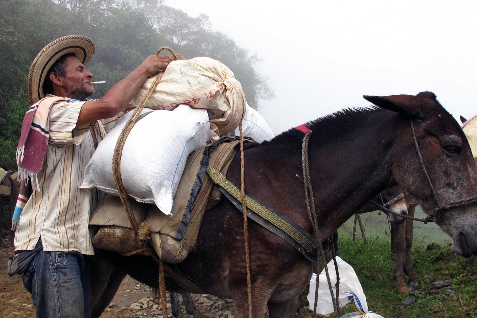 Campesino colombia