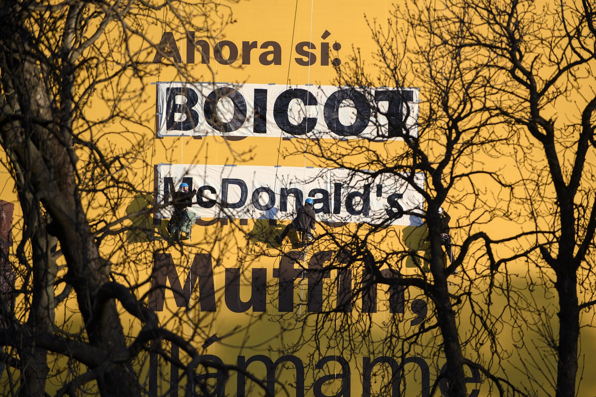 Boicot Mac Donalds Palestina - 5