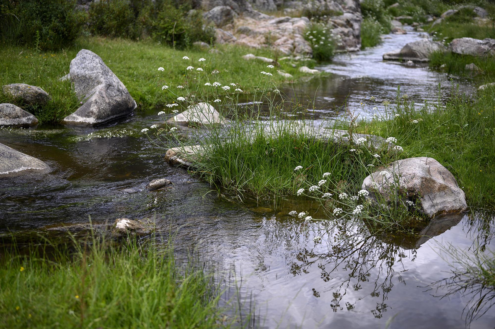 Río pesca