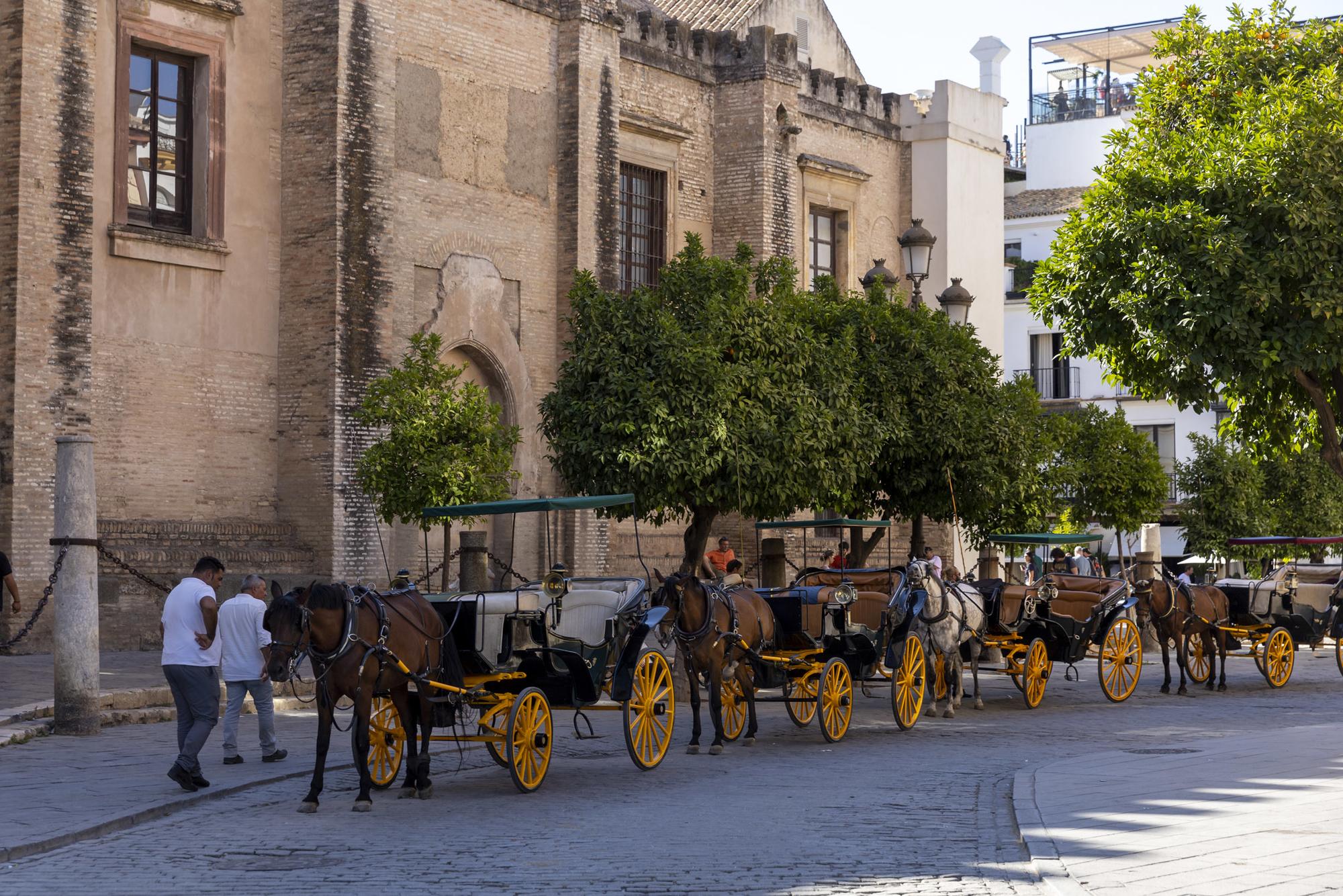 Sevilla carruajes caballos