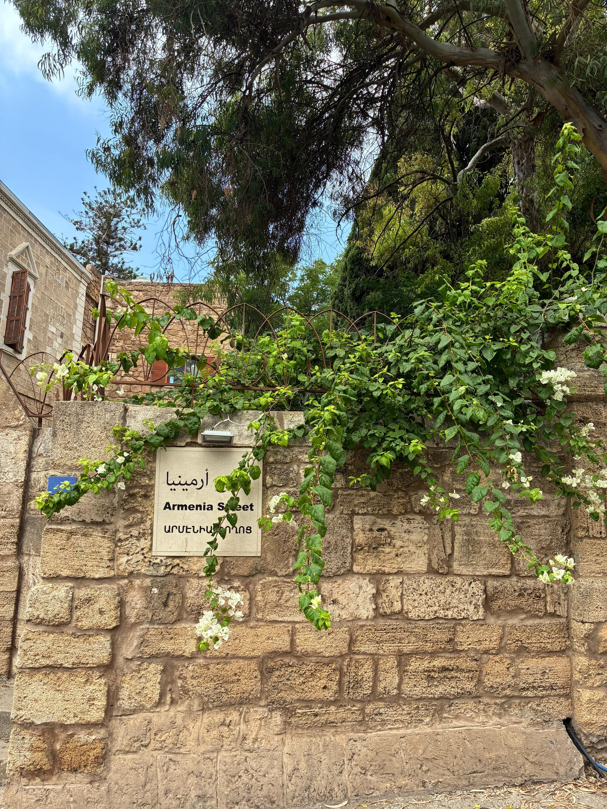 Museo armenio libano - 5