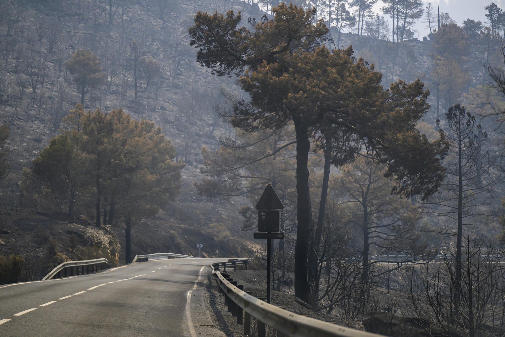 Incendio Navaluenga - 17