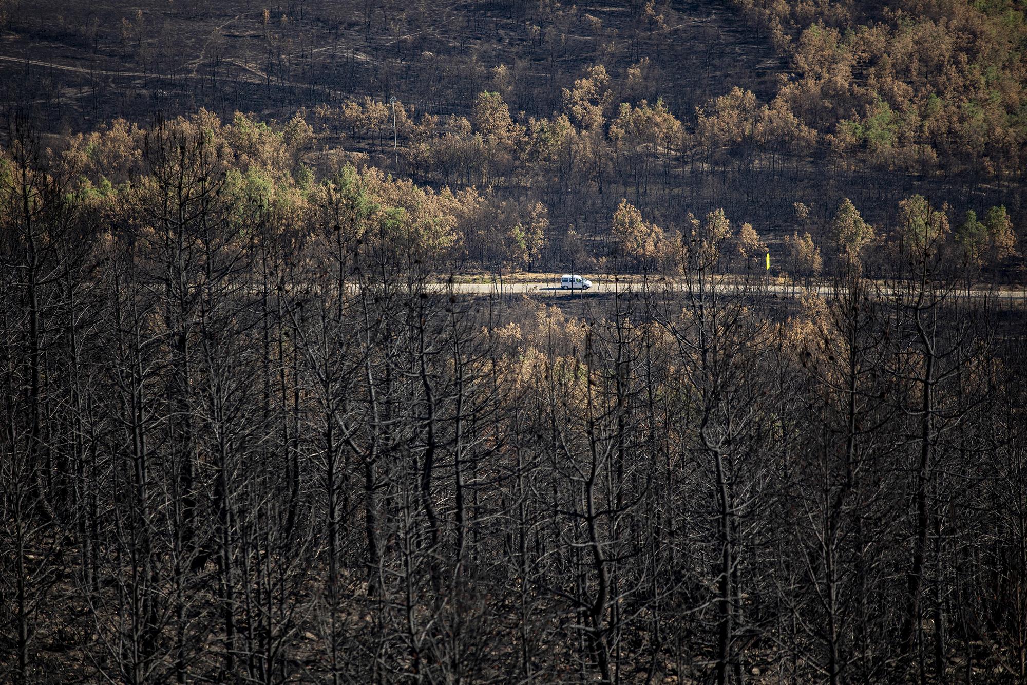 Geografía calcinada enfoques - 4
