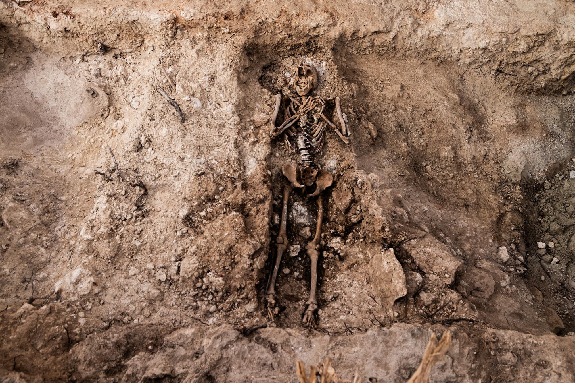 Exhumaciones represión franquista Padul - 1