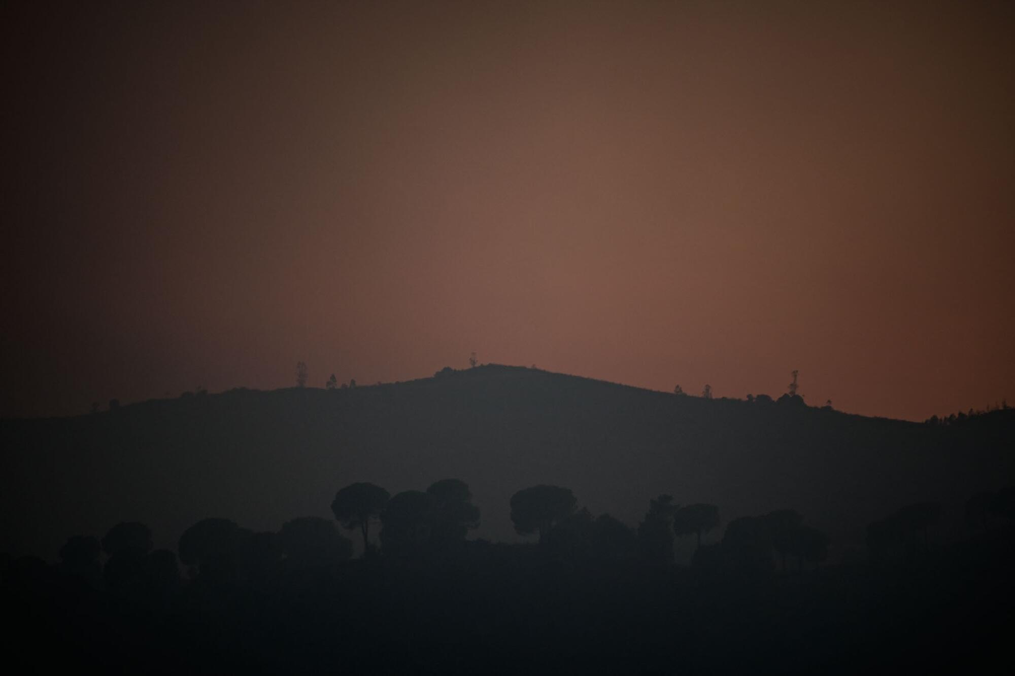 Incendio Niebla Huelva - 13
