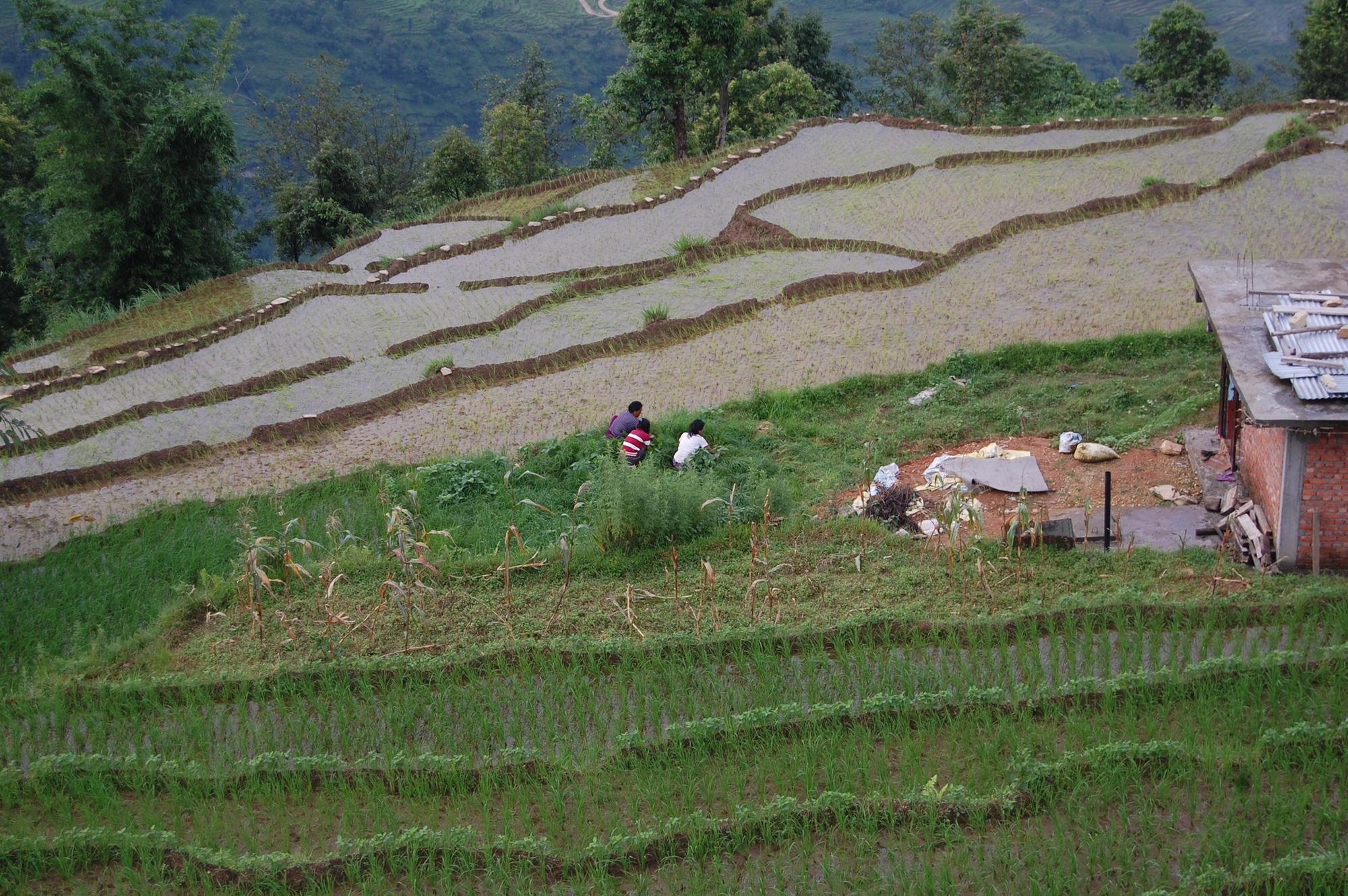 Nepal