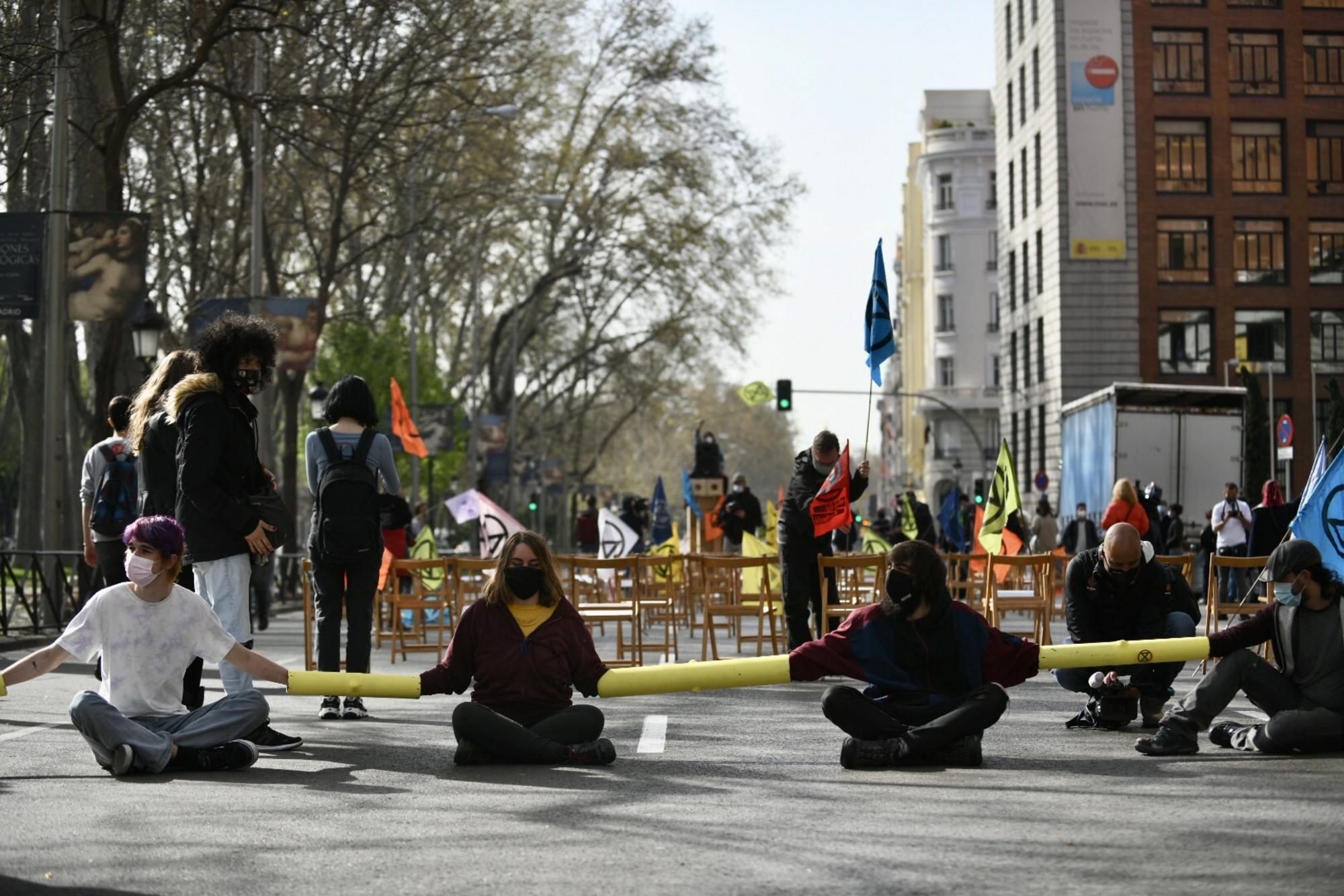asamblea ciudadana accion