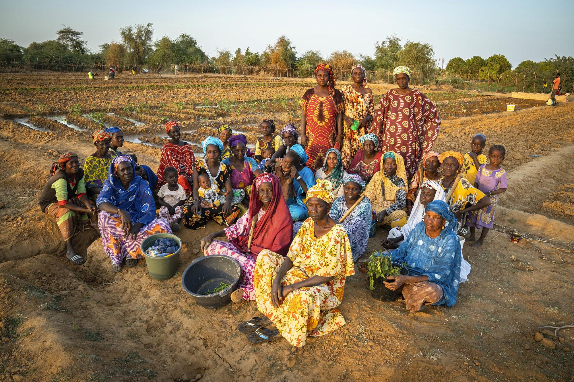 Agroecología y feminismo en Senegal - 8