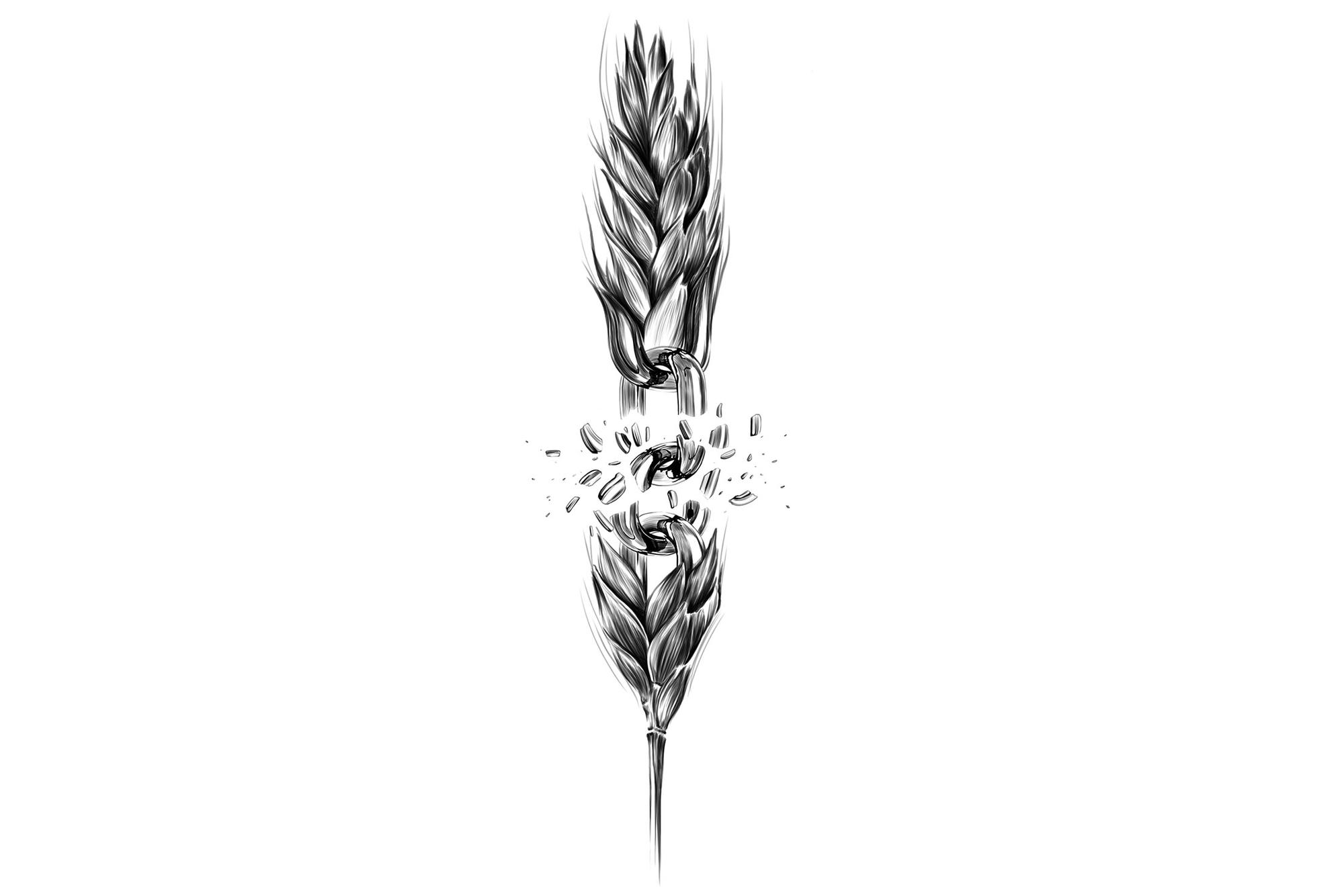 Liberación Campesina Belén Moreno