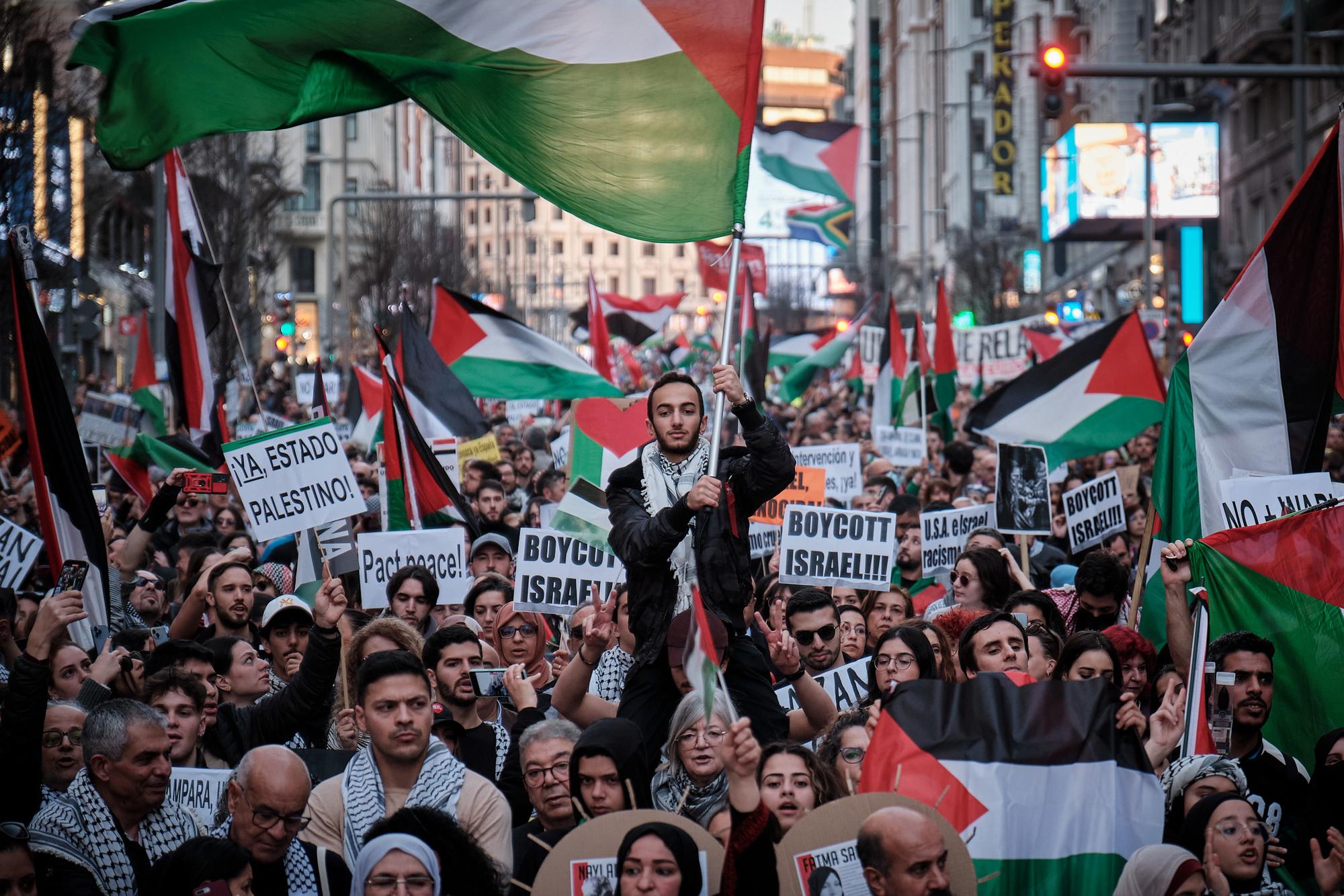 Manifestación estatal Palestina Madrid 25 enero 2024 - 3