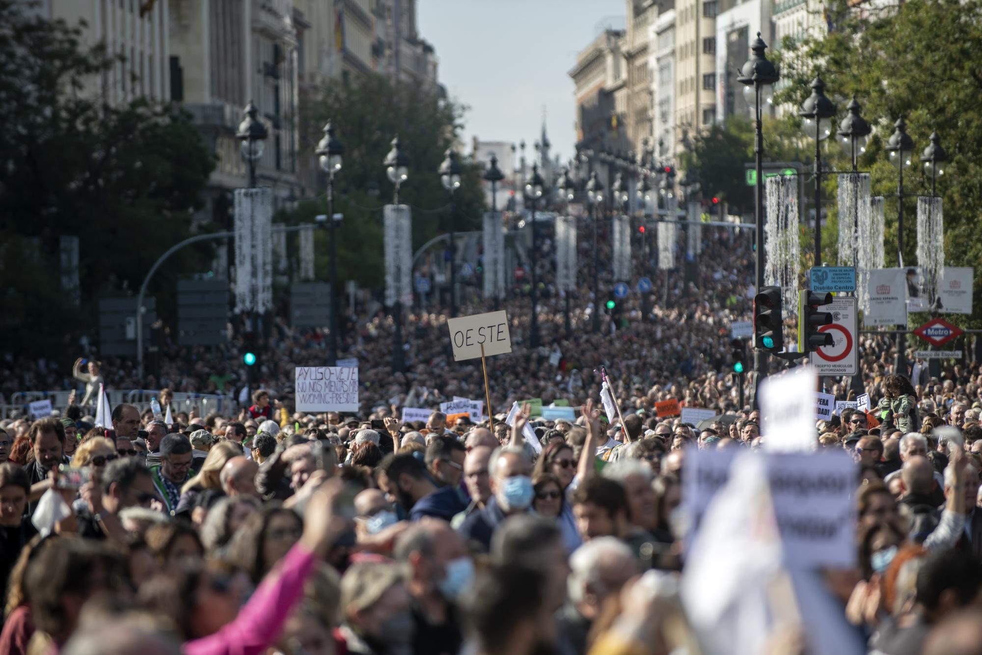 Manifestación por la Sanidad Pública en Madrid - 19