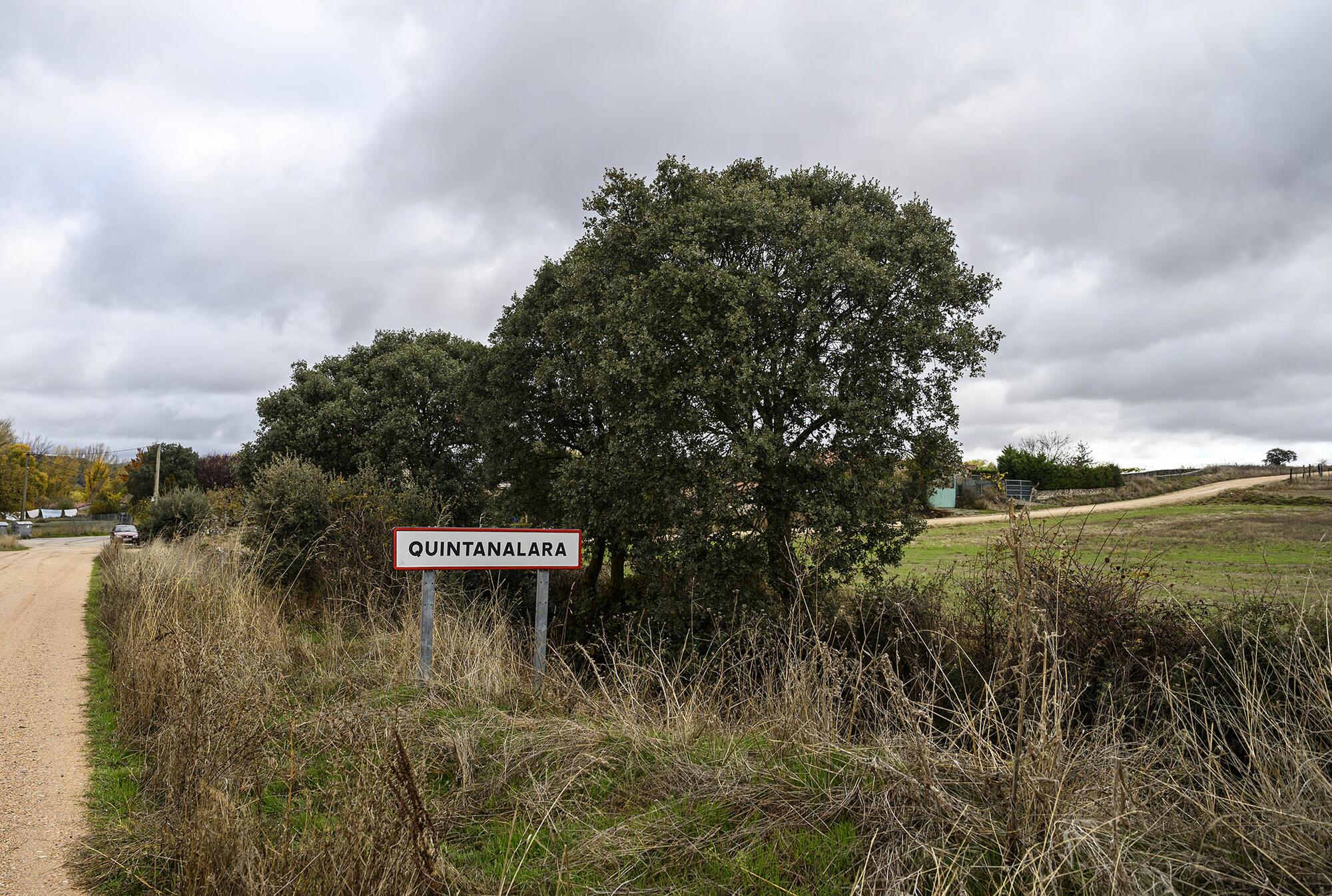 Quintanalara biblioteca - 1