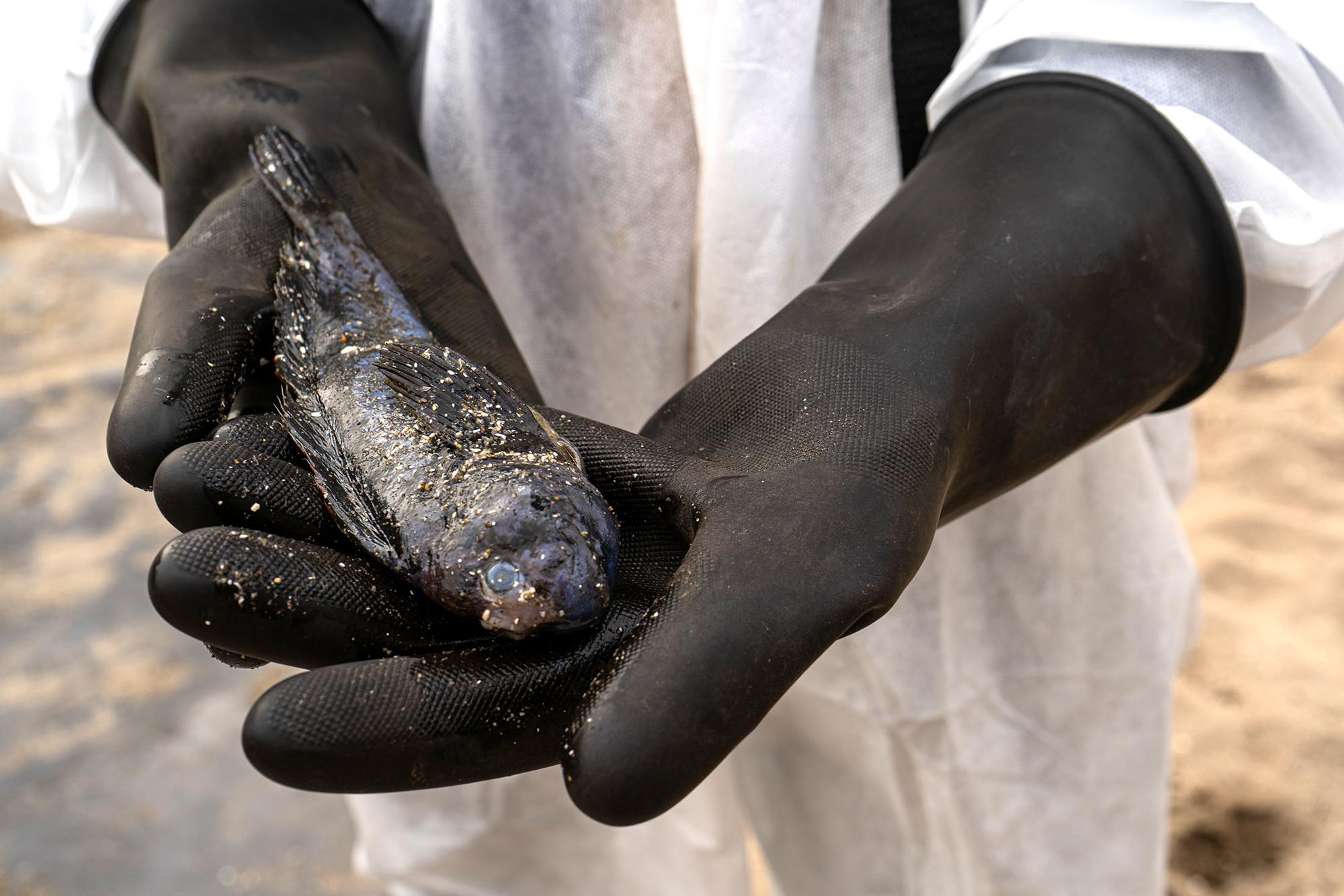 Pescadores afectados por el derrame de Repsol en Perú. - 1