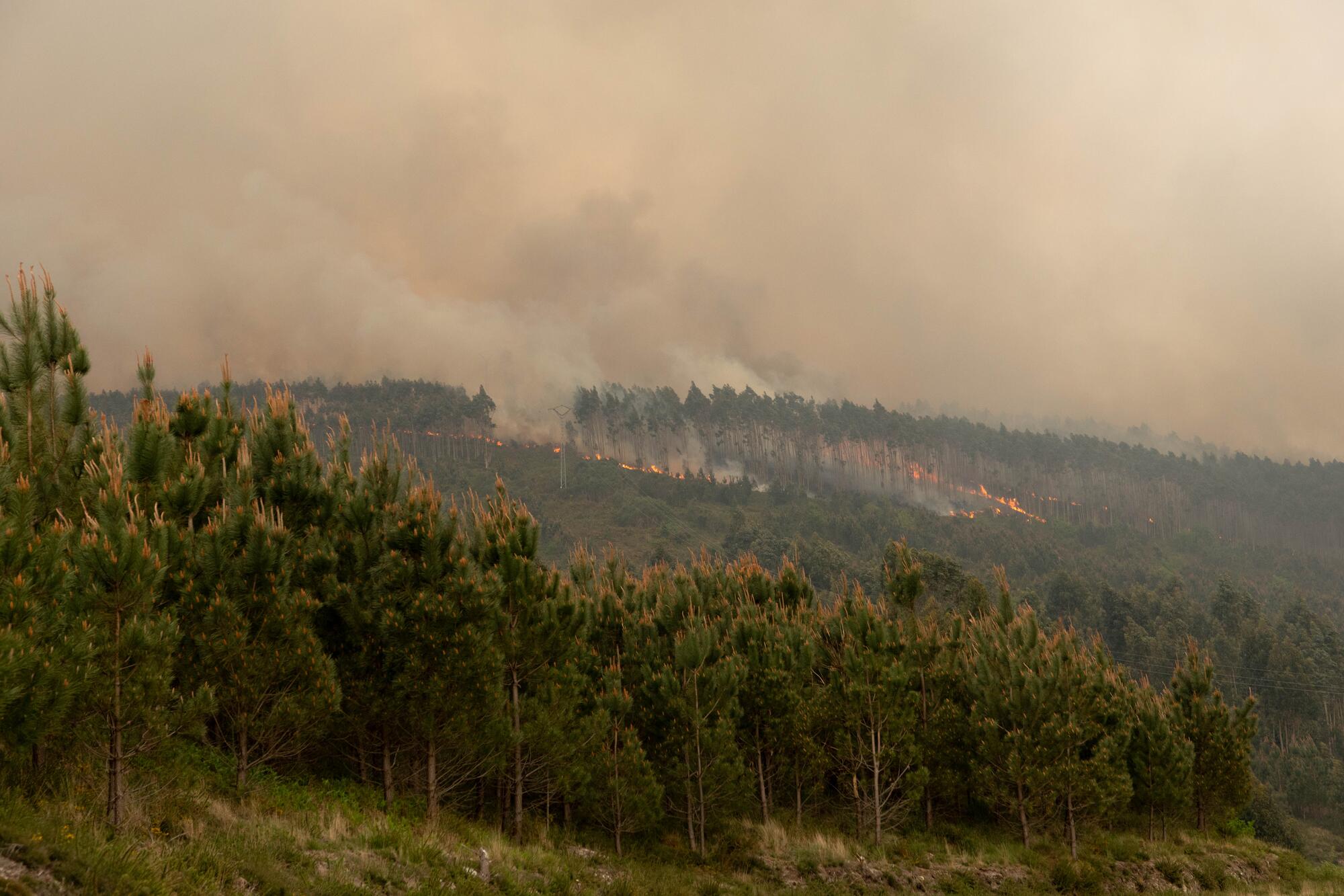 incendio Galleiro - 8