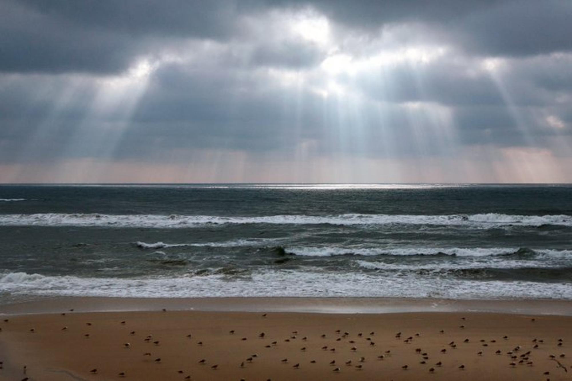 Mar. Cielo. Playa. Playas. Costa. Costas. Pájaros. Naturaleza. Medio ambiente