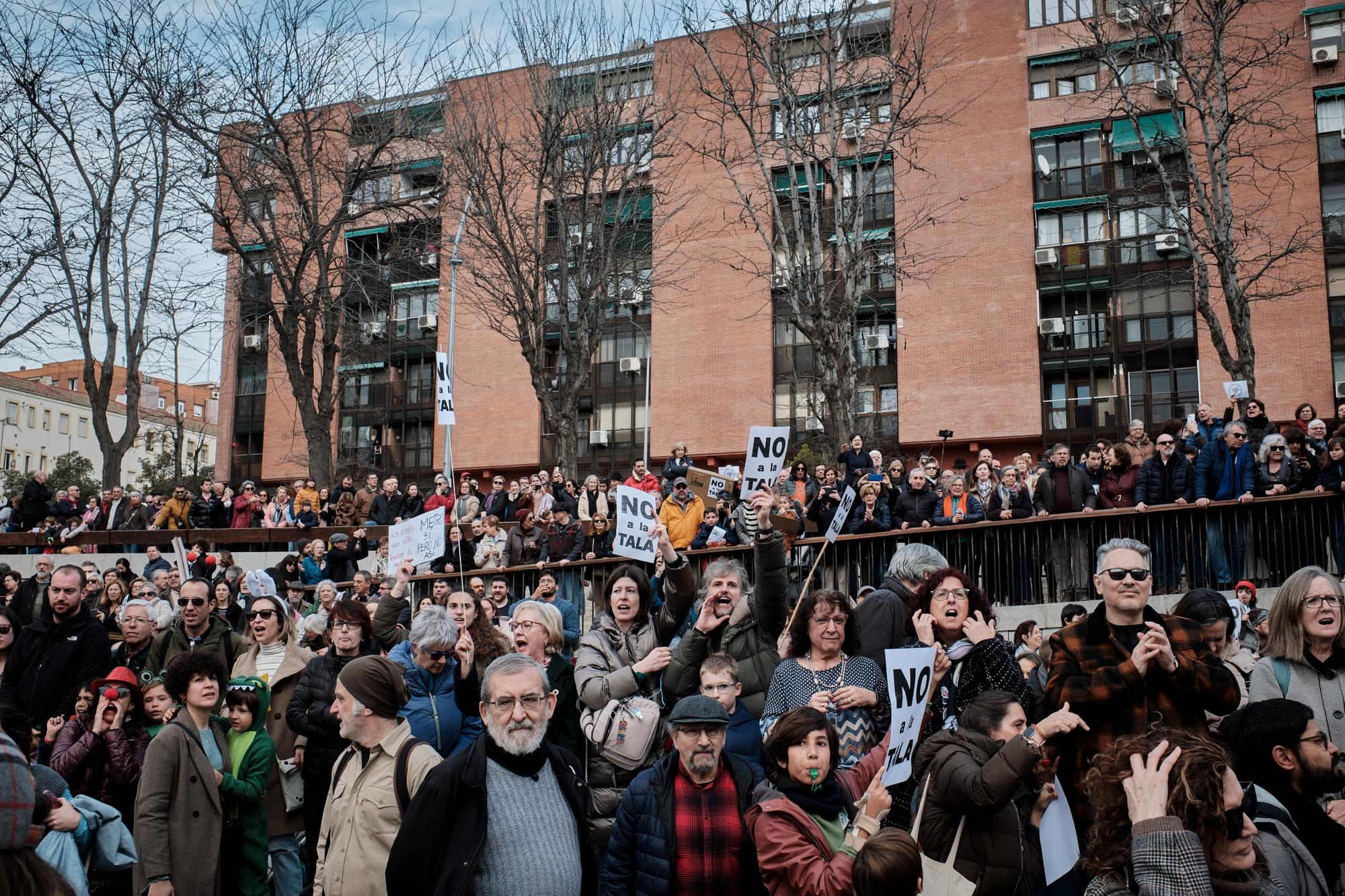 Defensa Arboles  - 12