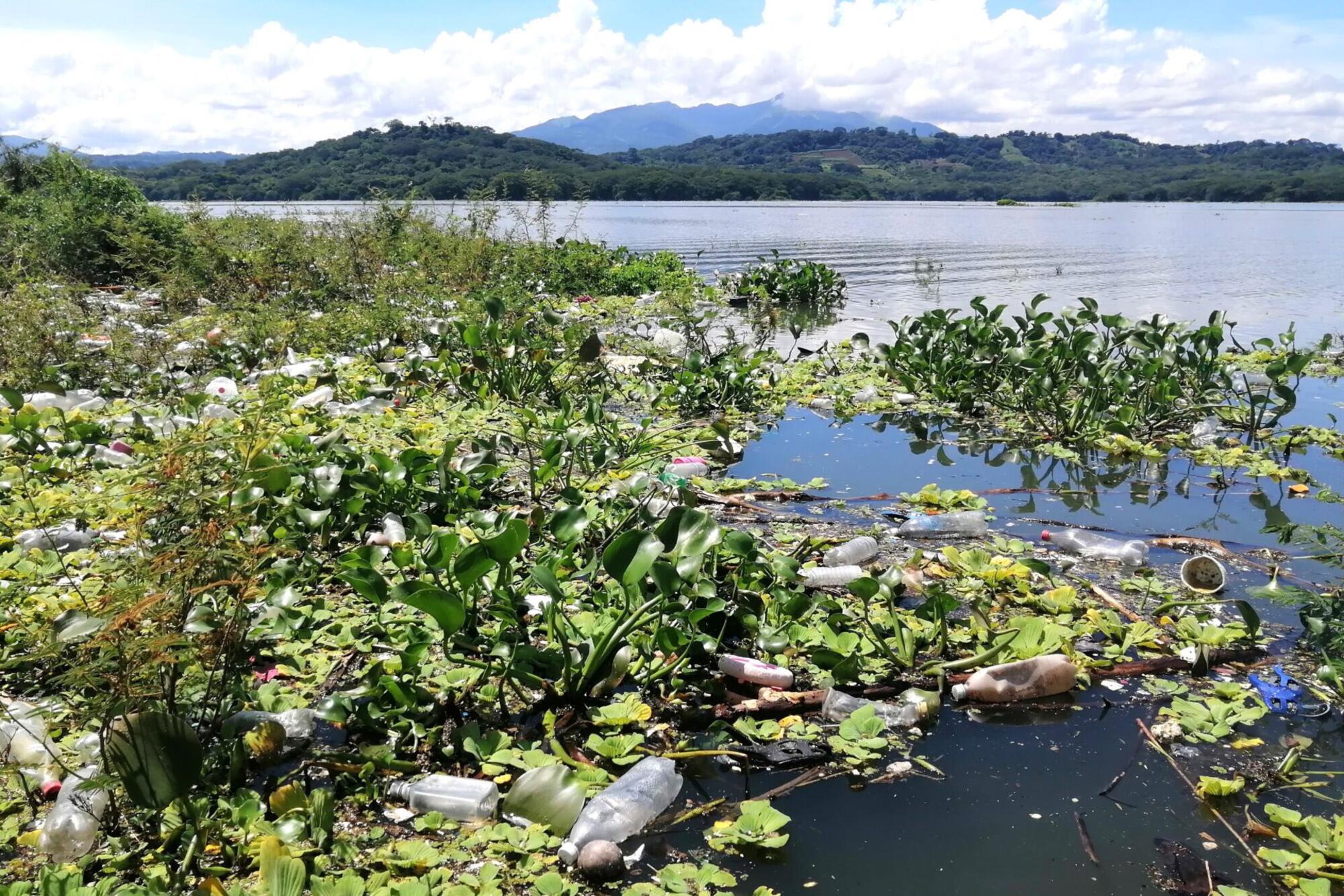 Manglares Rio Lempa 2